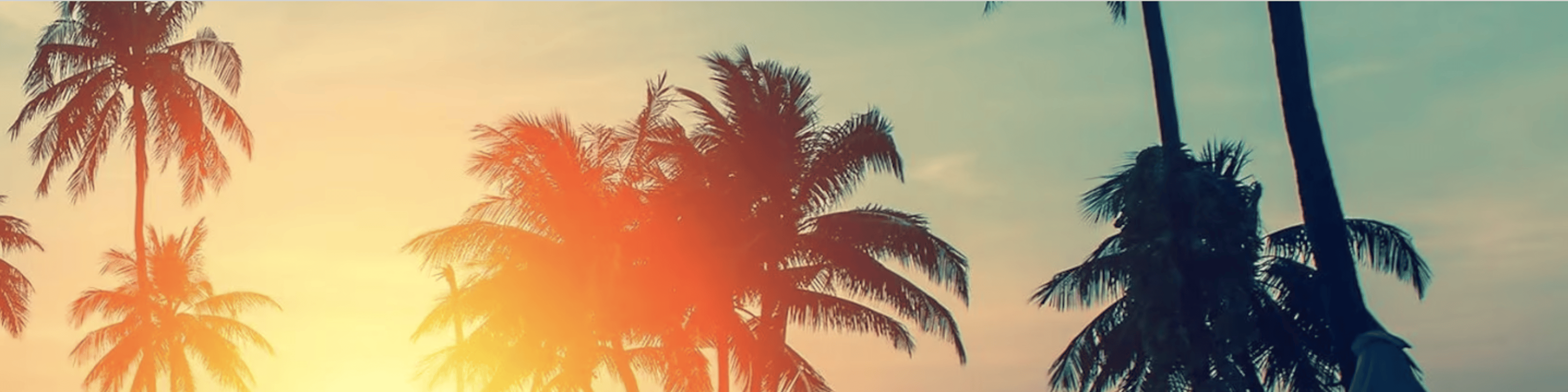 Shop cover image