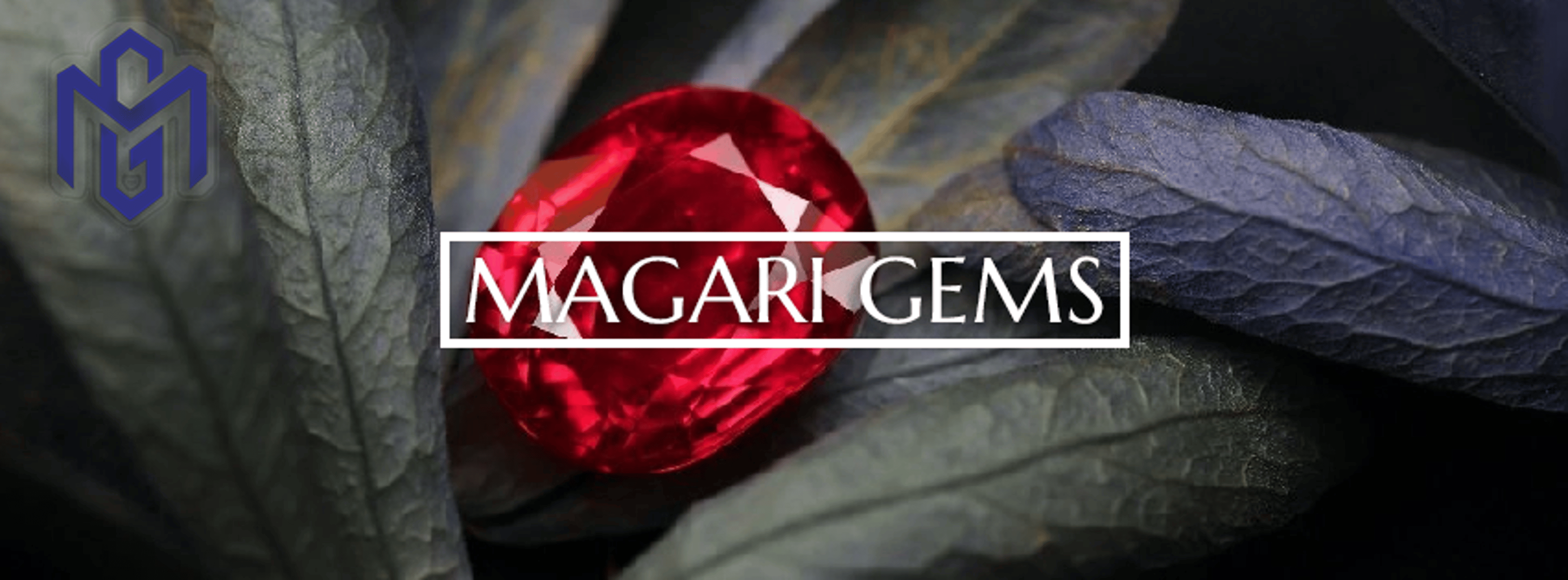 Shop cover image