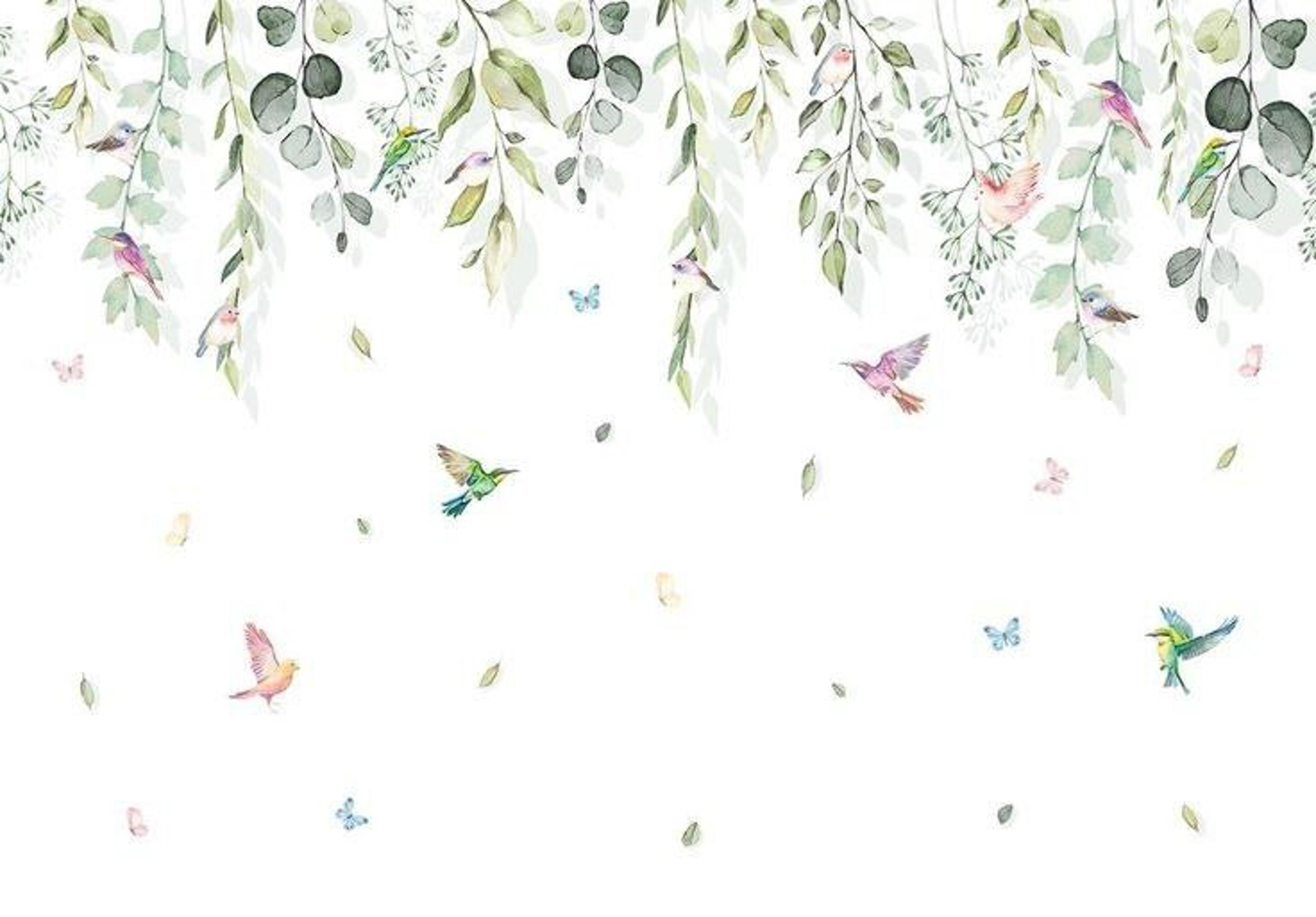 Shop cover image
