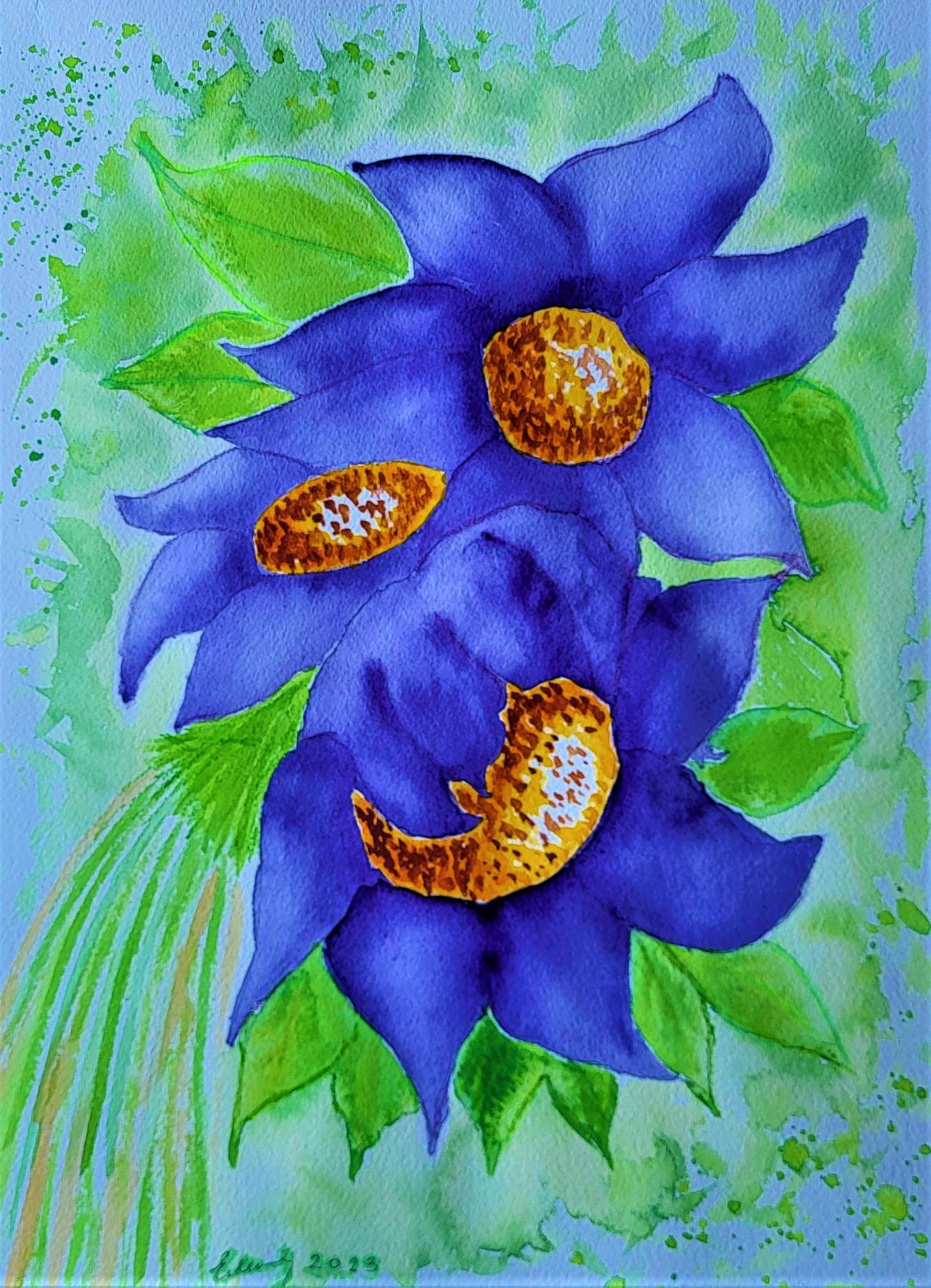 Shop cover image