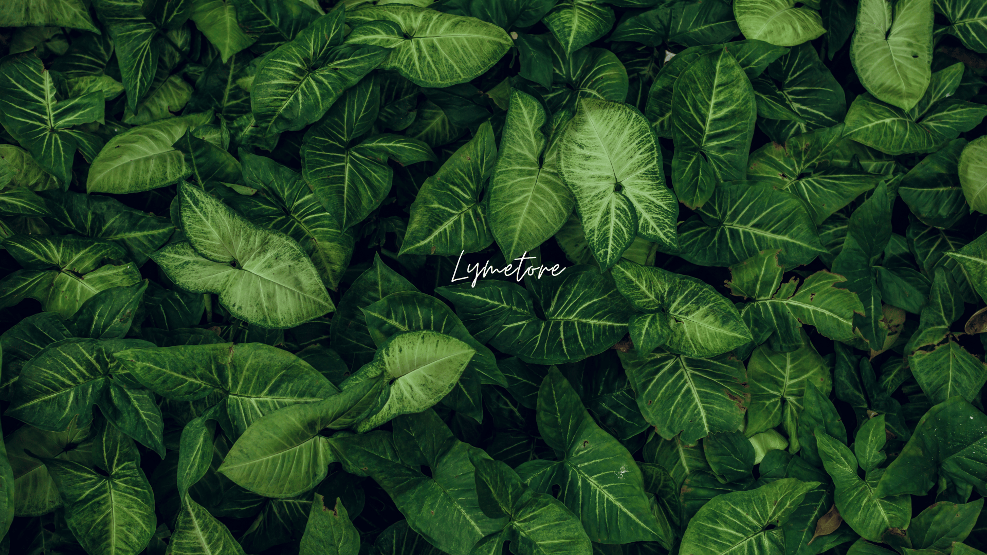 Shop cover image