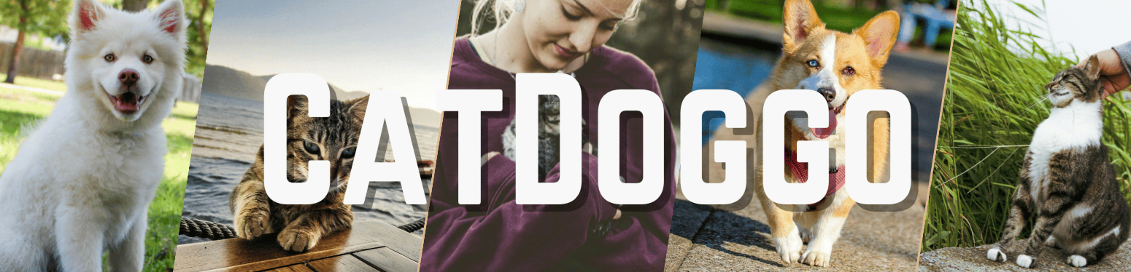 Shop cover image