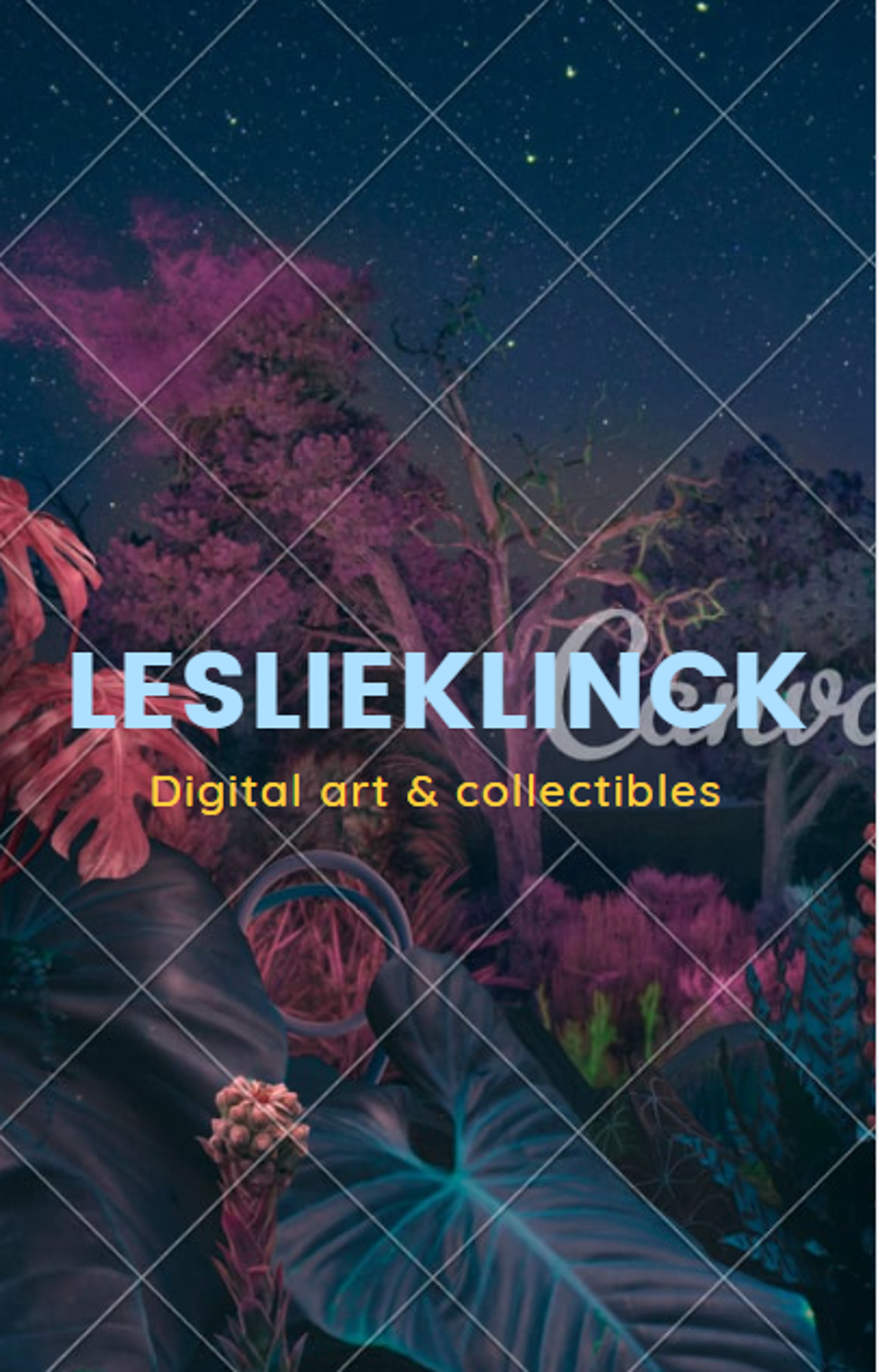 Shop cover image