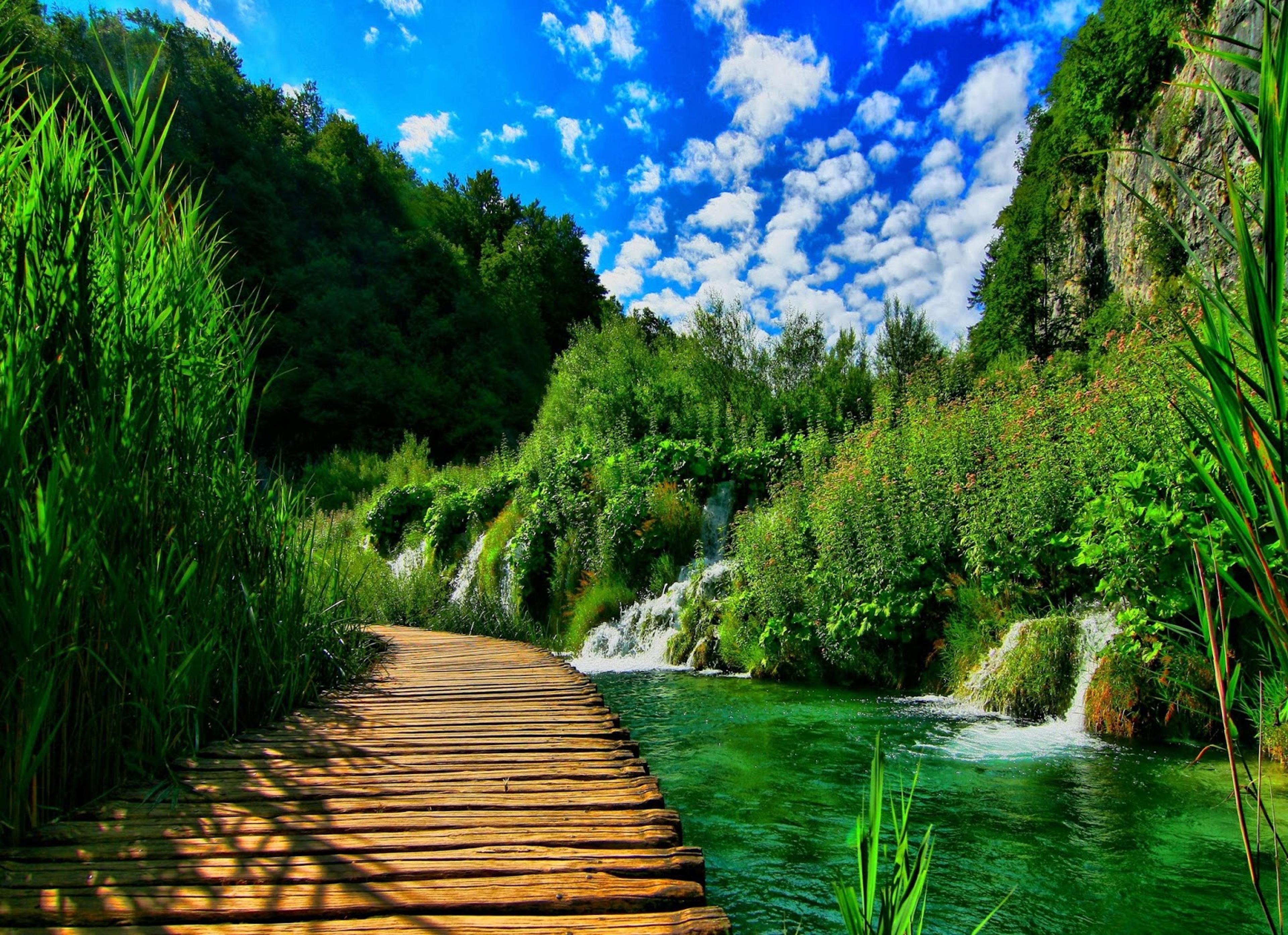 Shop cover image
