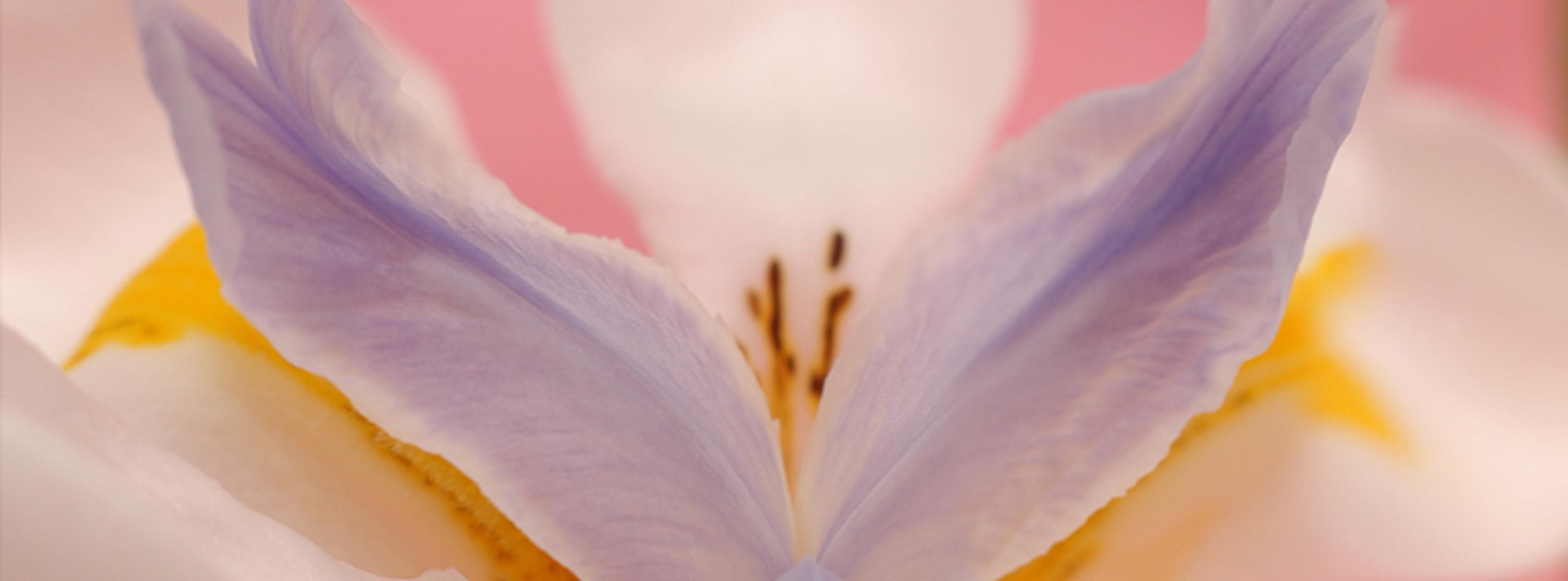 Shop cover image