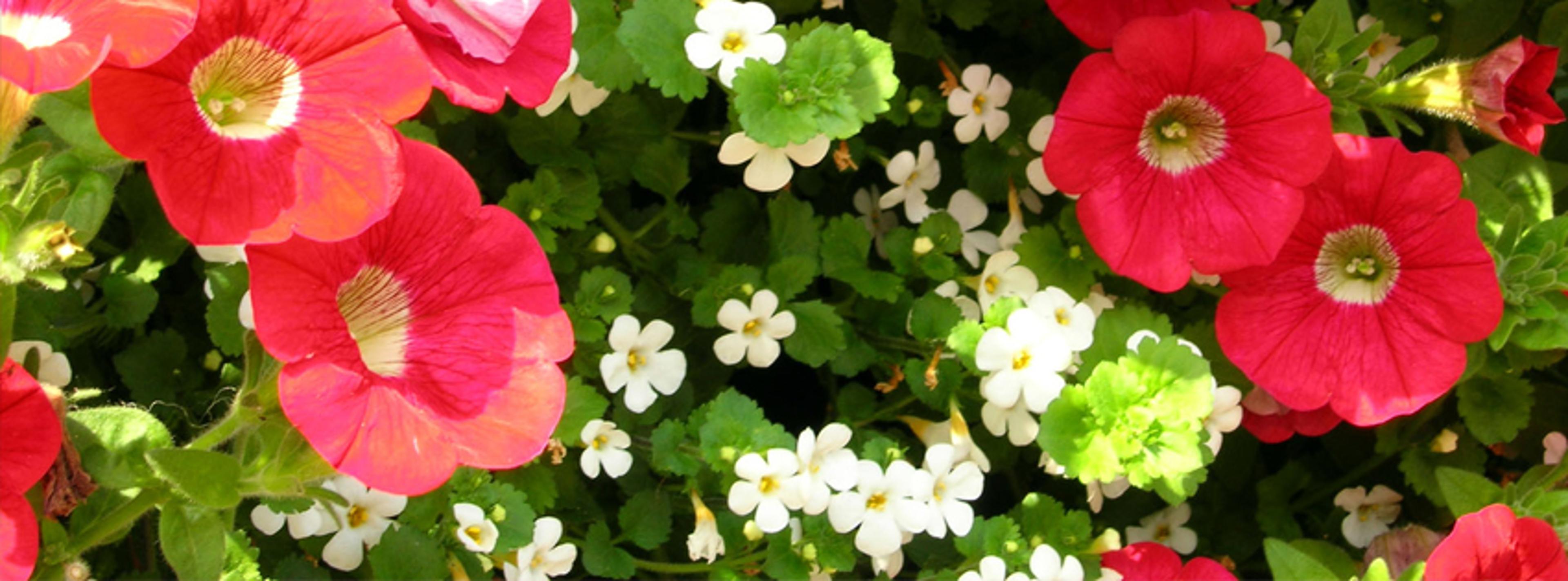 Shop cover image