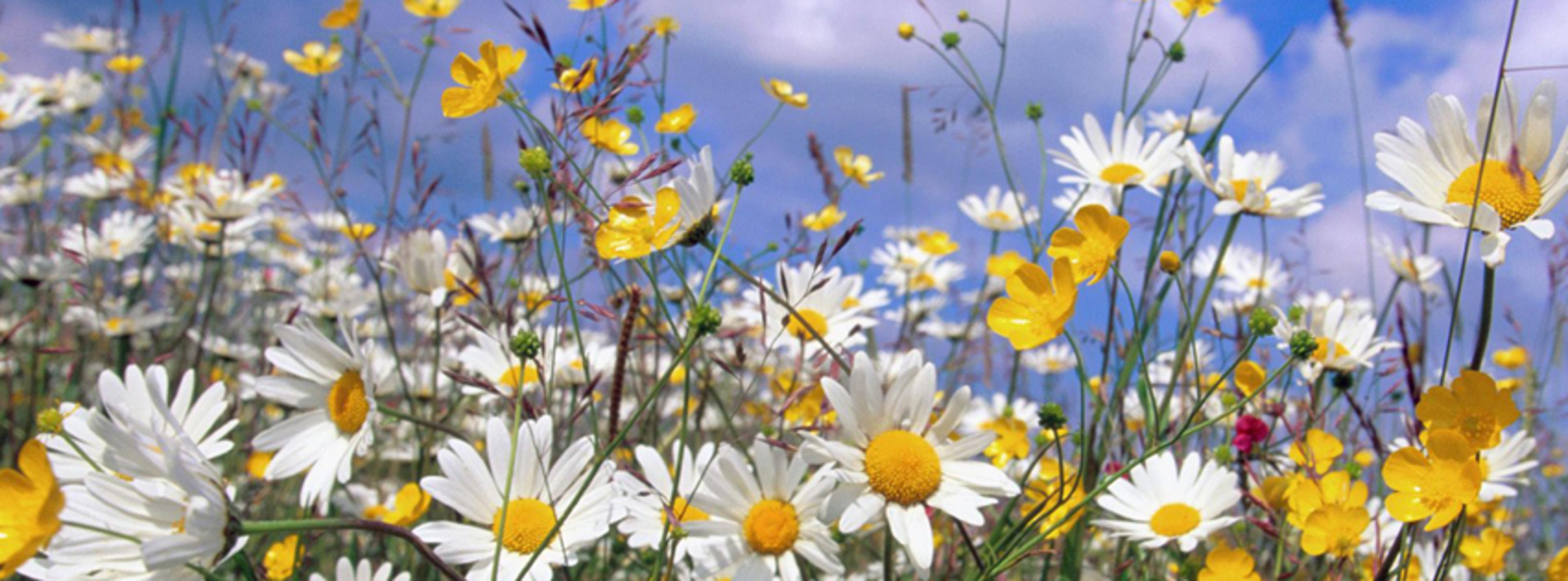 Shop cover image