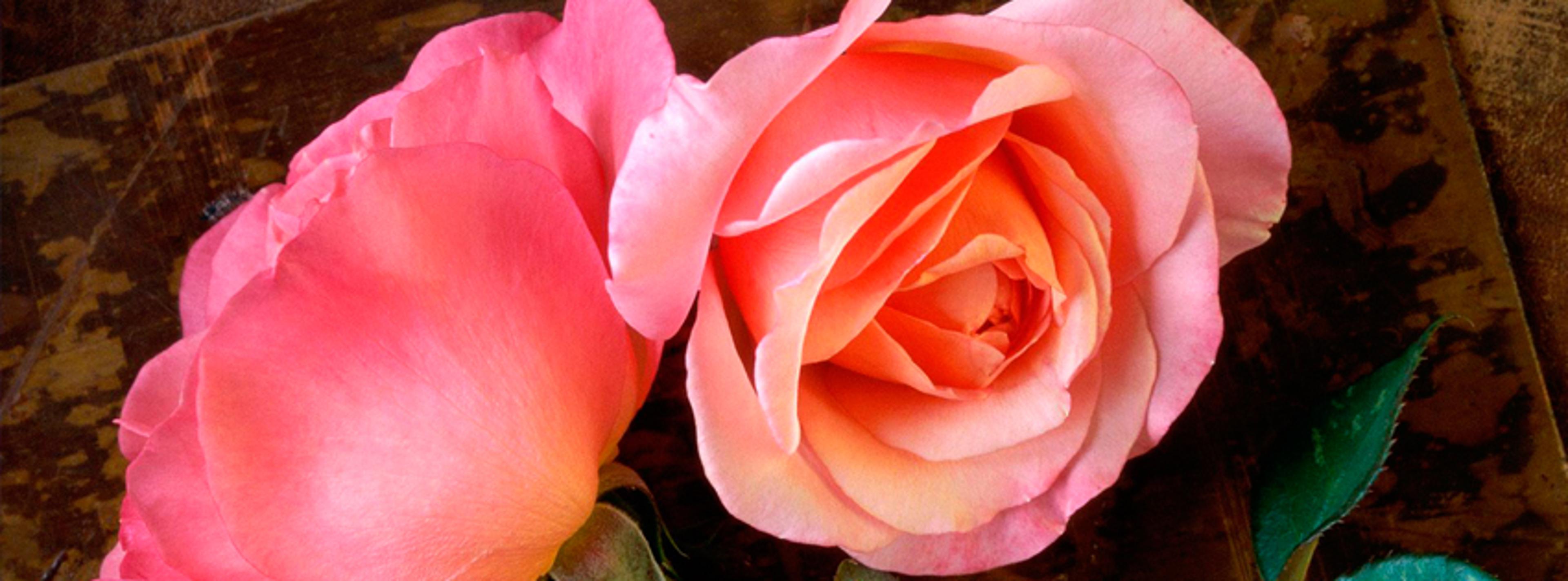 Shop cover image
