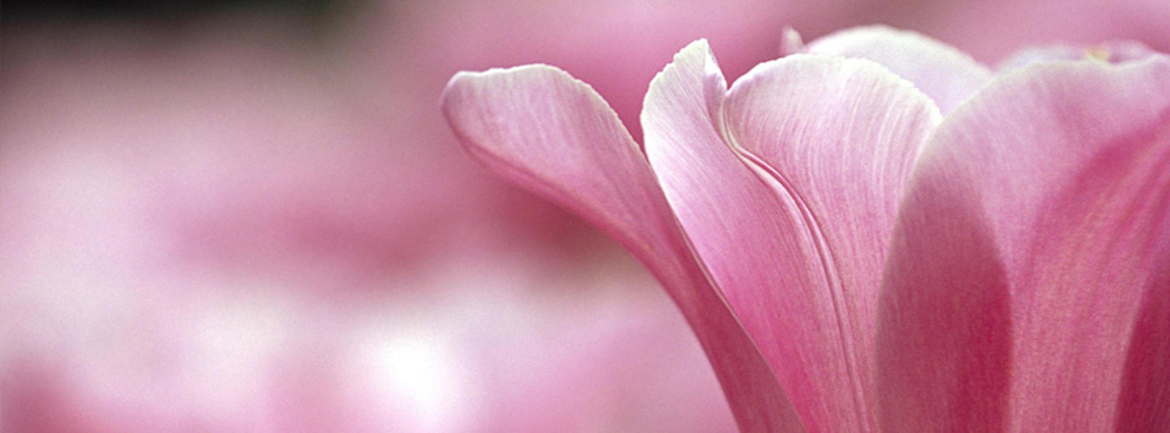 Shop cover image