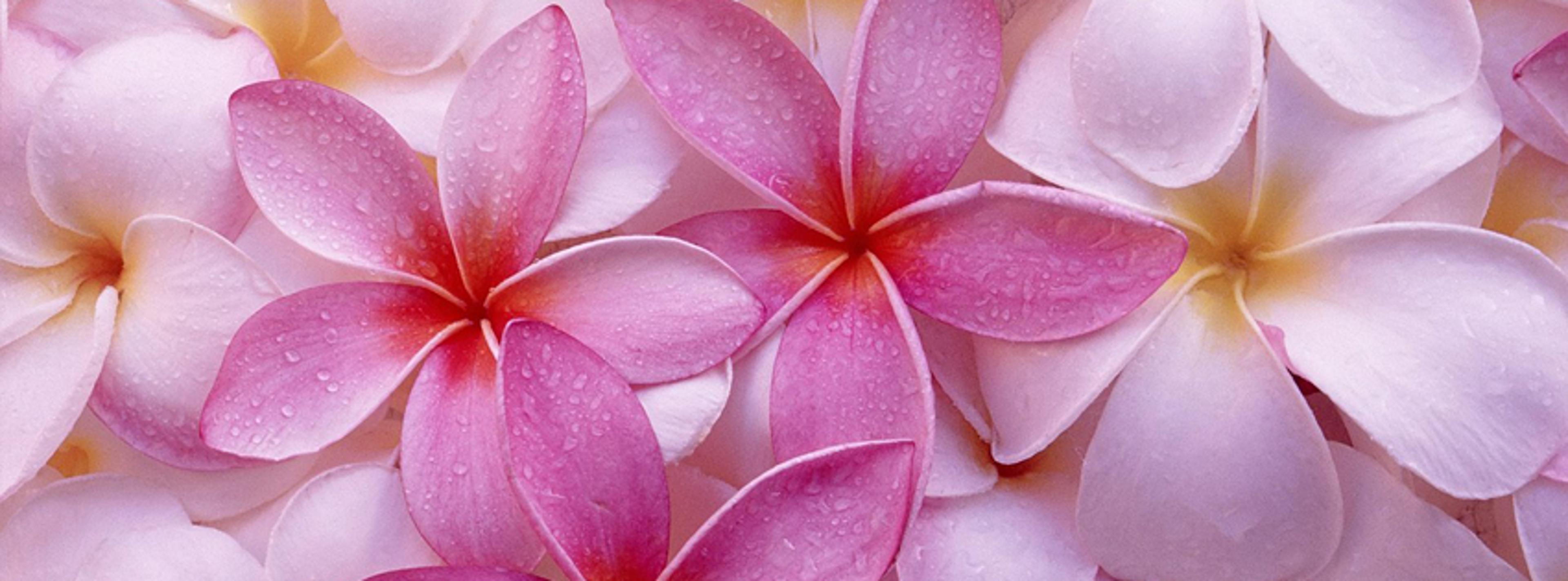 Shop cover image