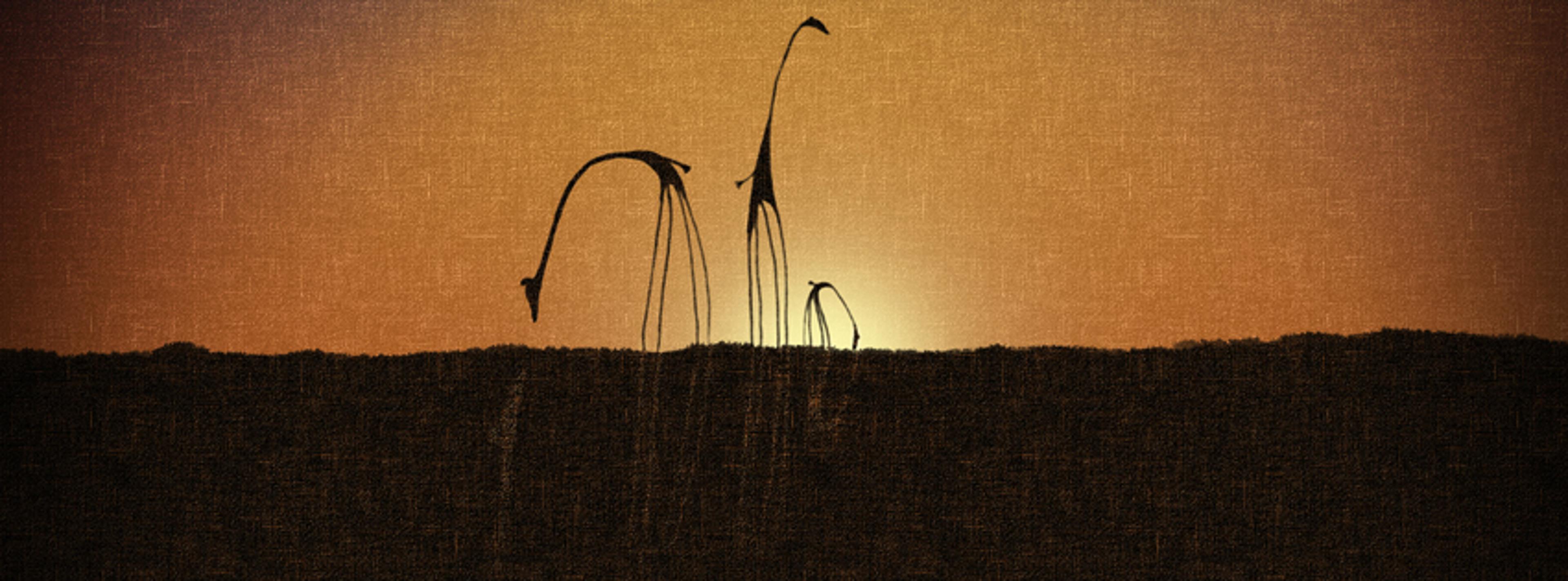 Shop cover image