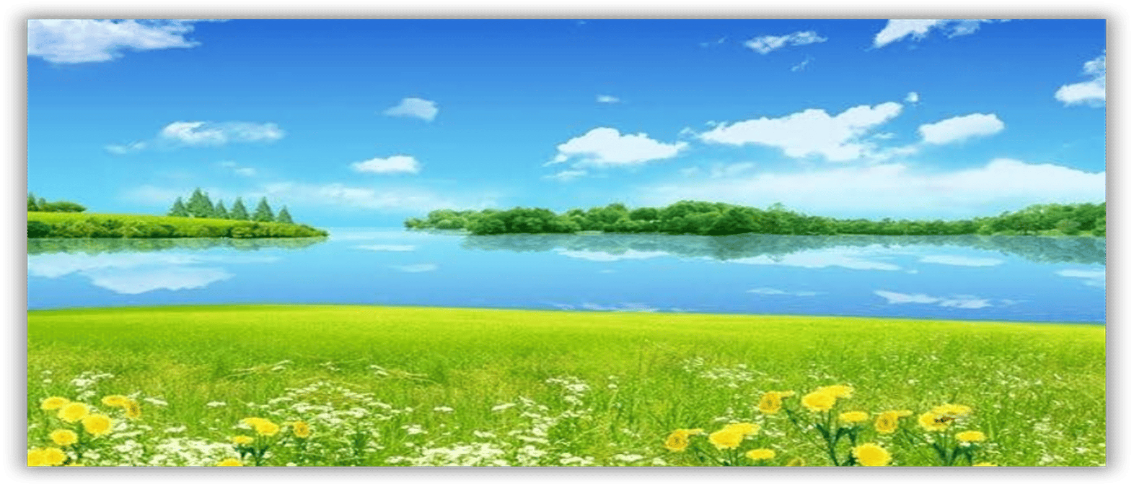 Shop cover image