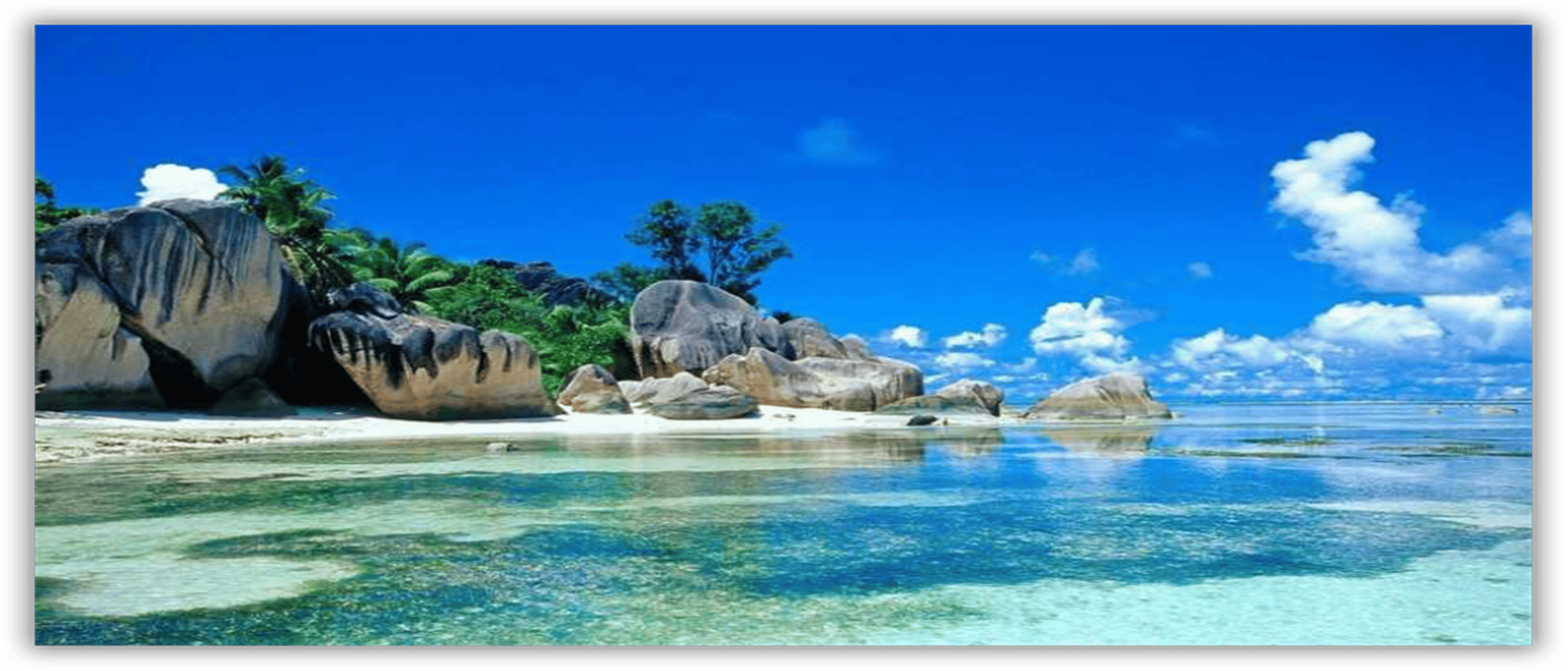 Shop cover image