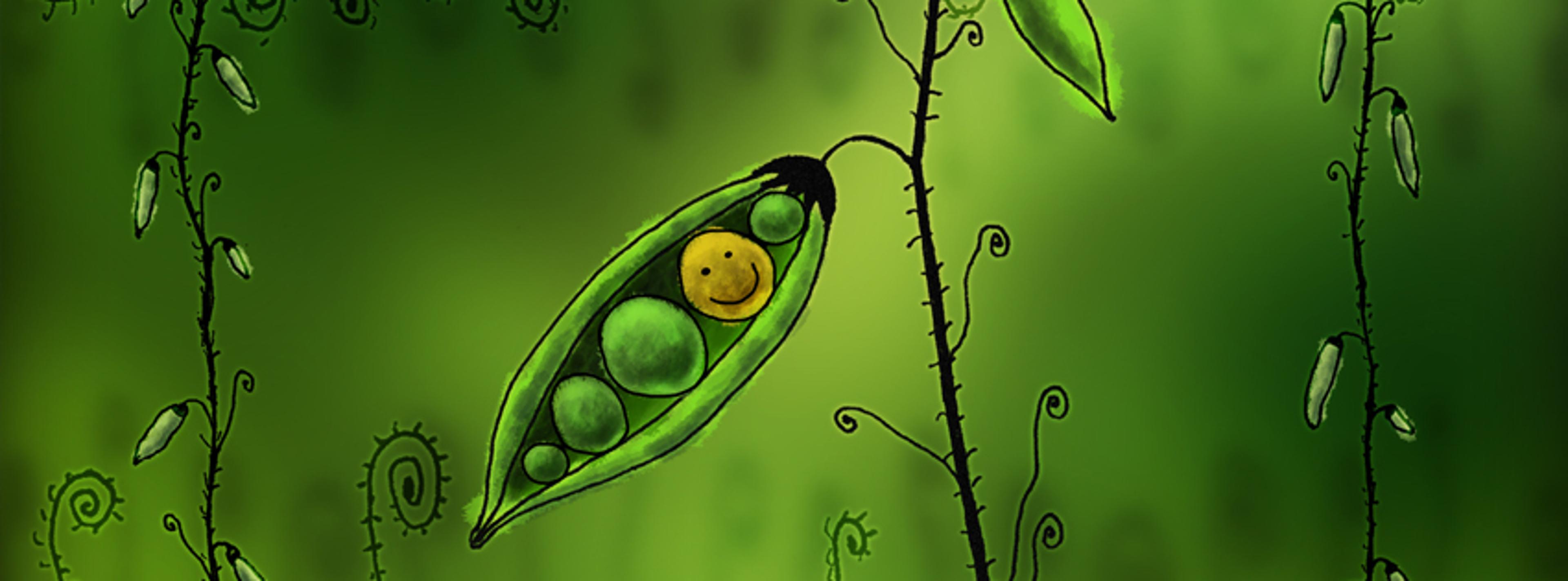 Shop cover image
