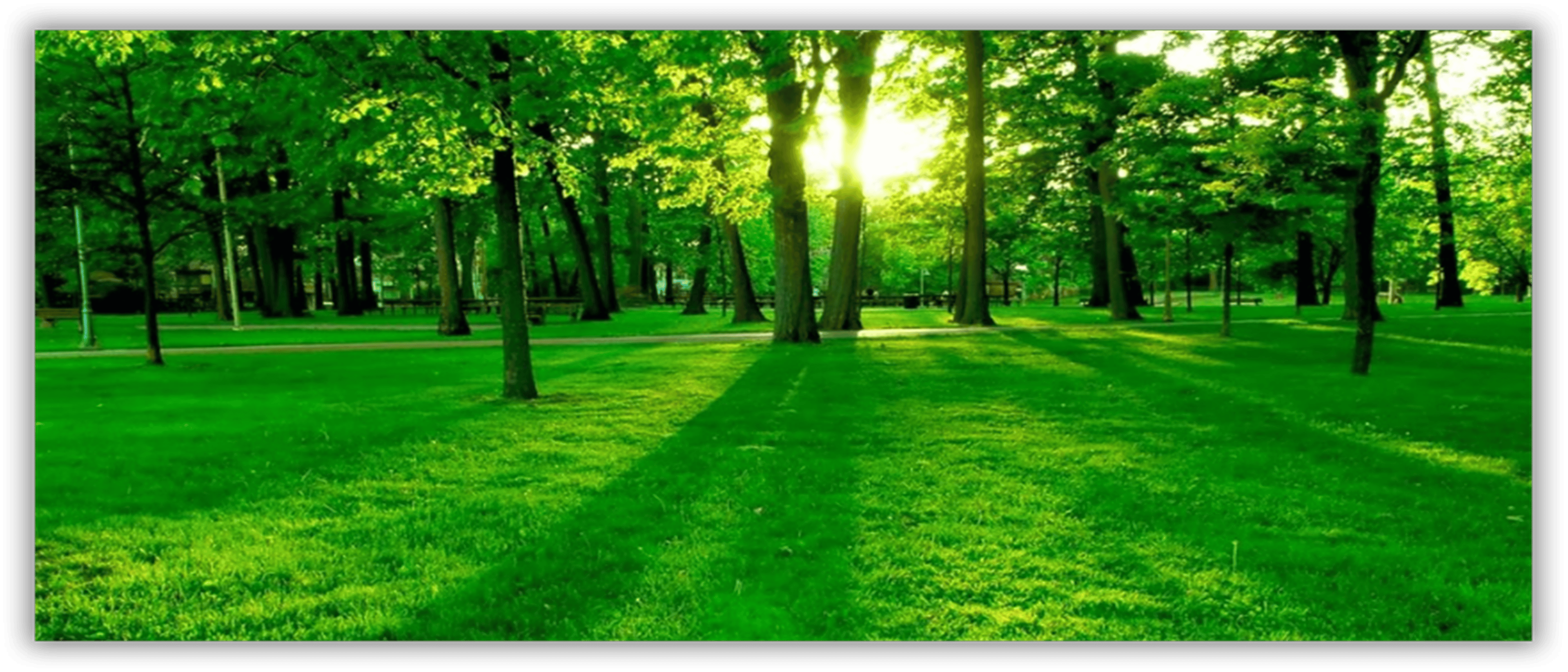 Shop cover image