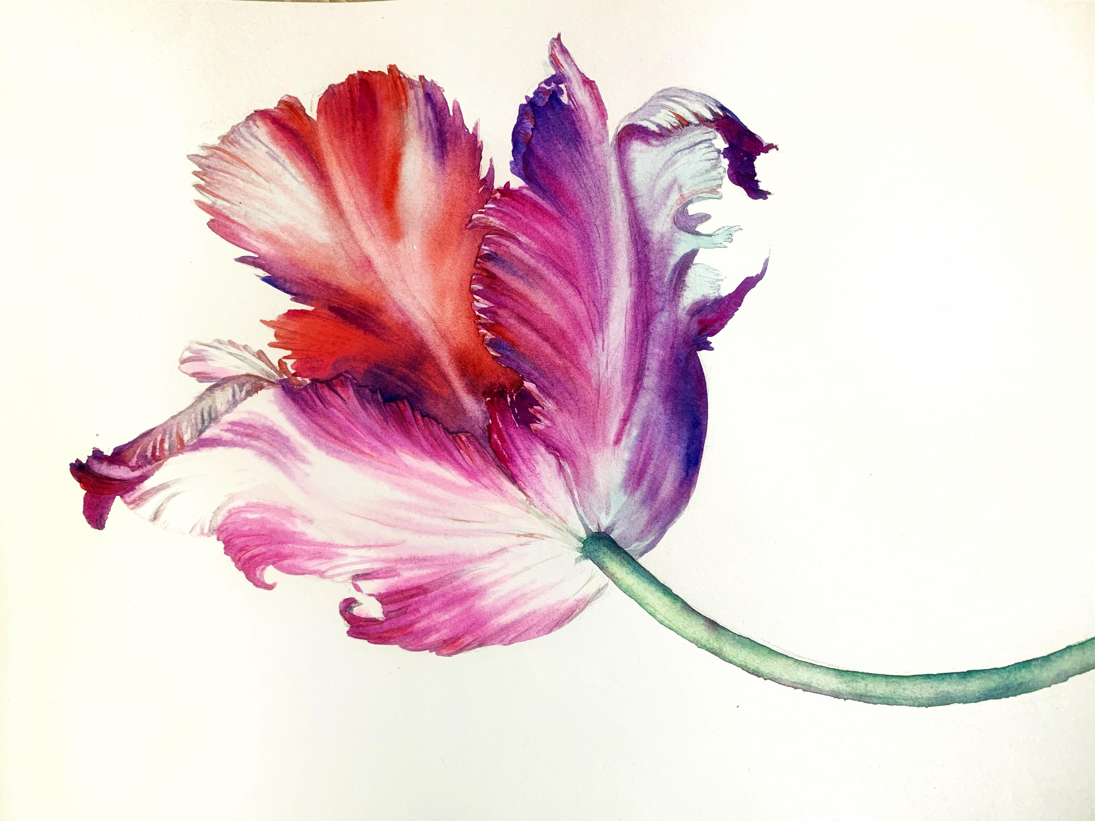 Shop cover image
