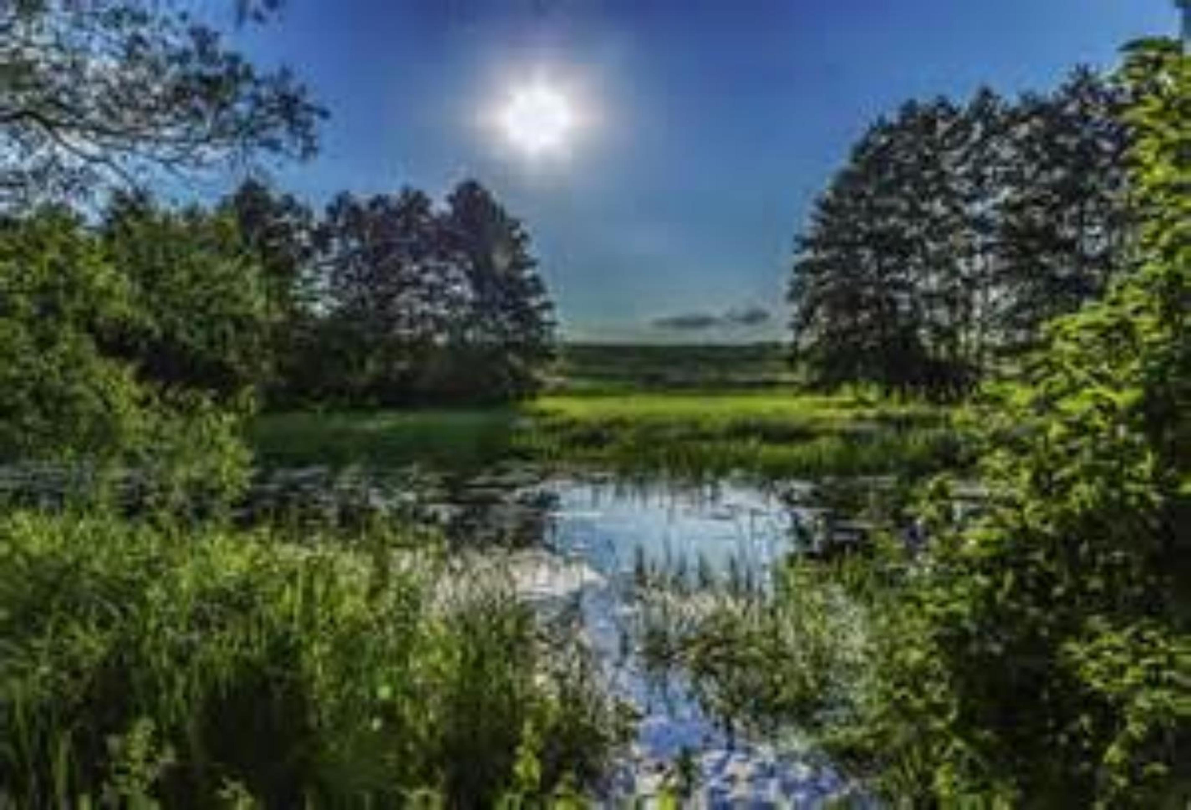 Shop cover image