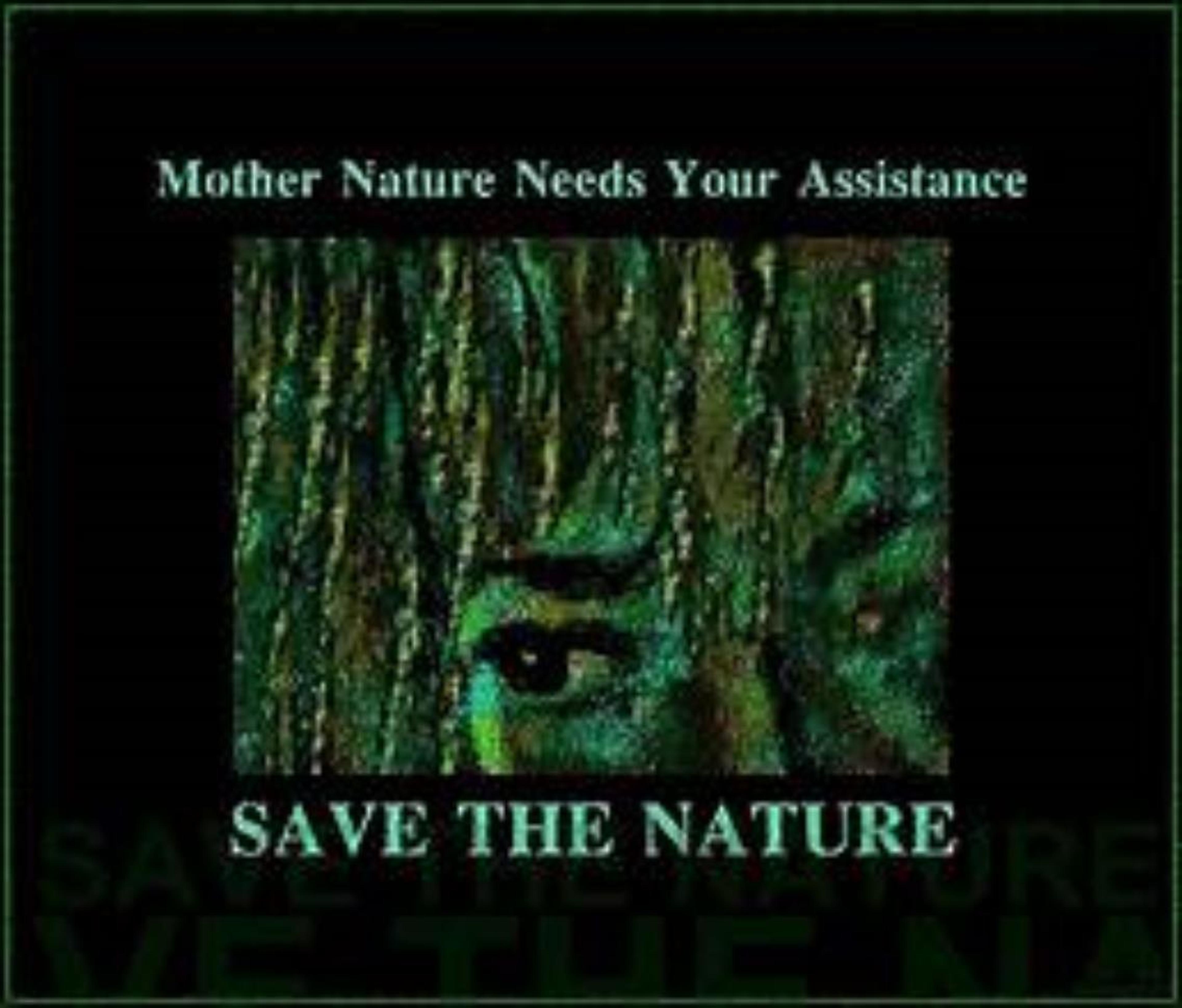 Shop cover image