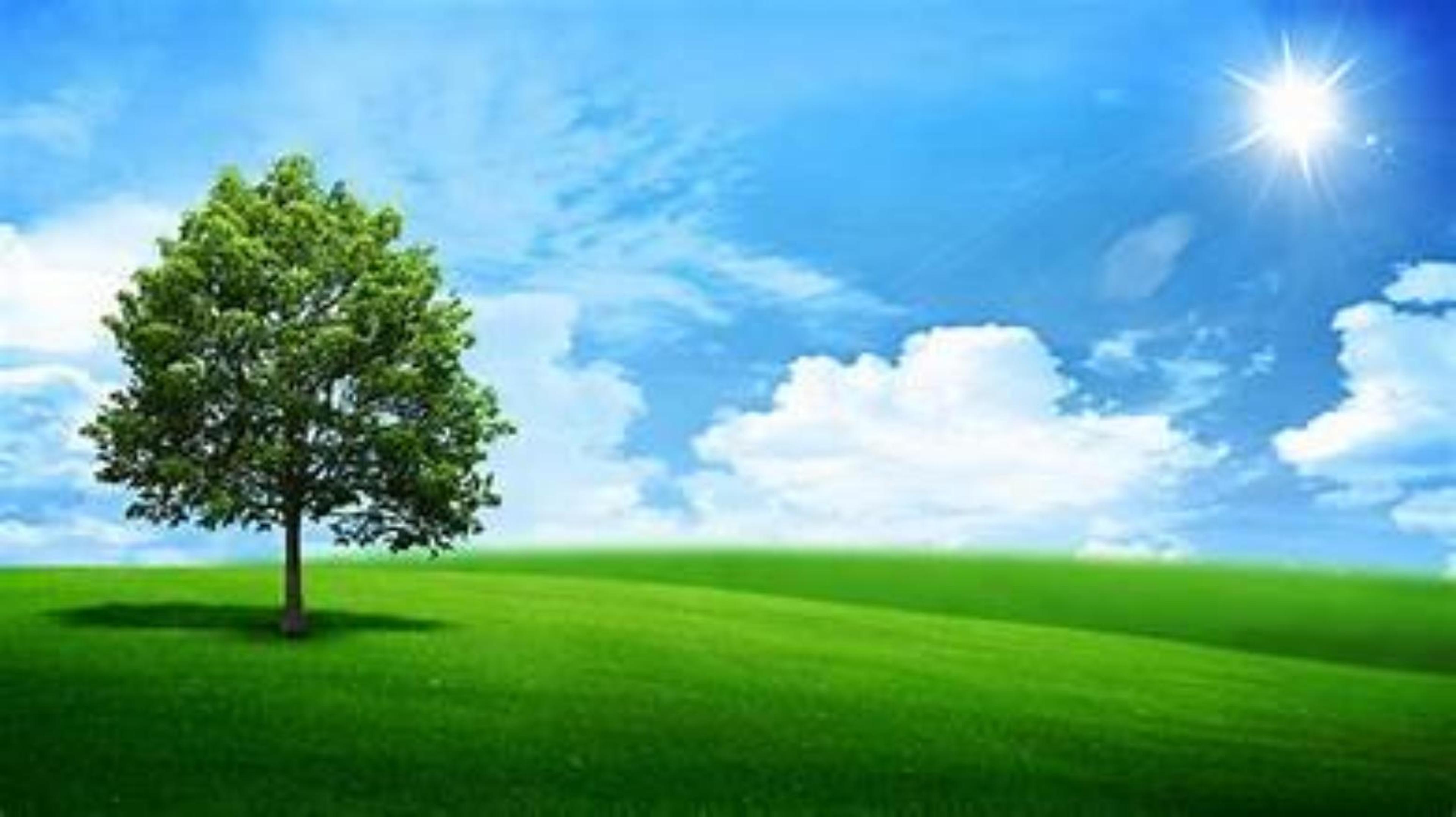 Shop cover image