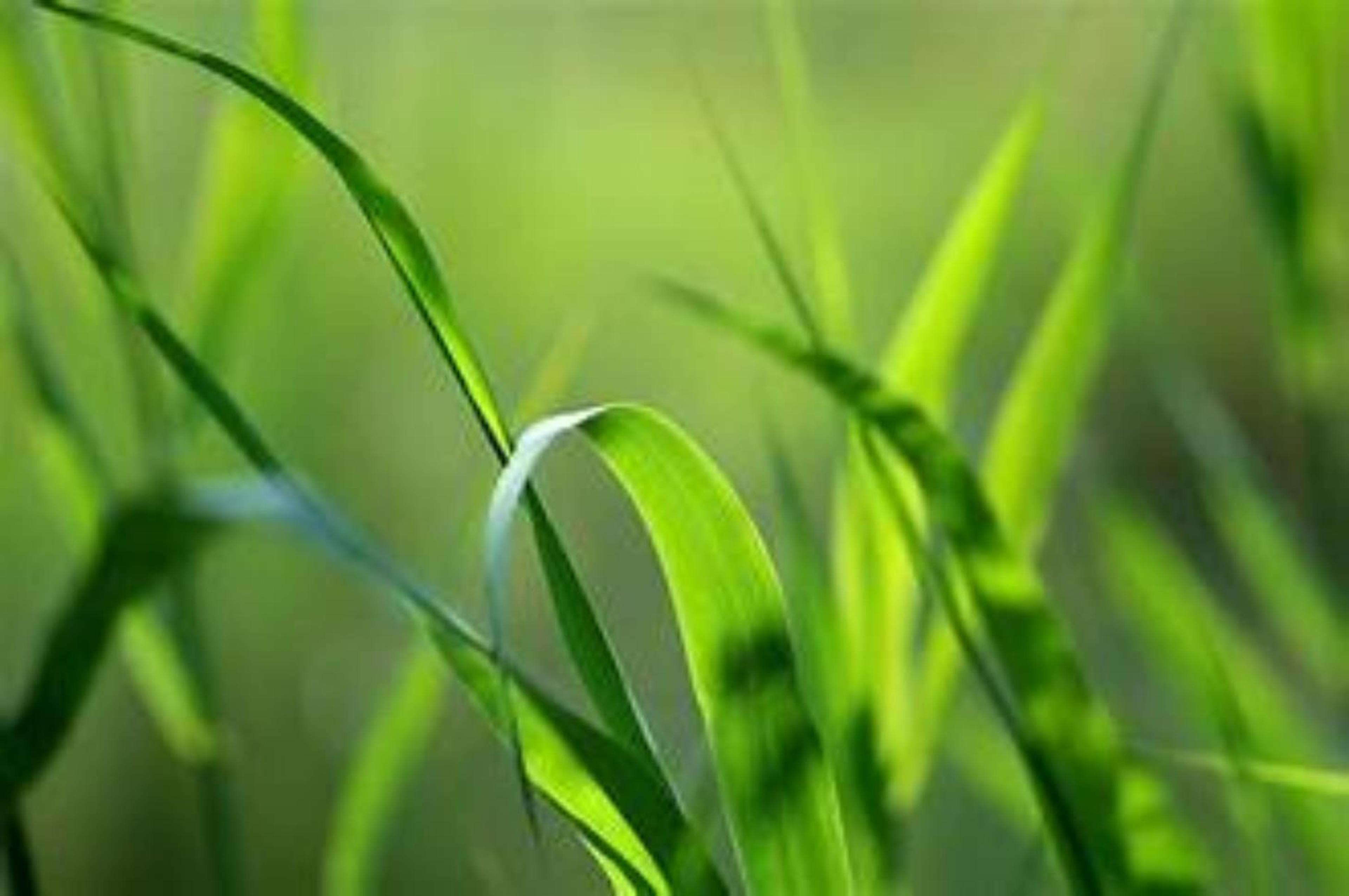 Shop cover image