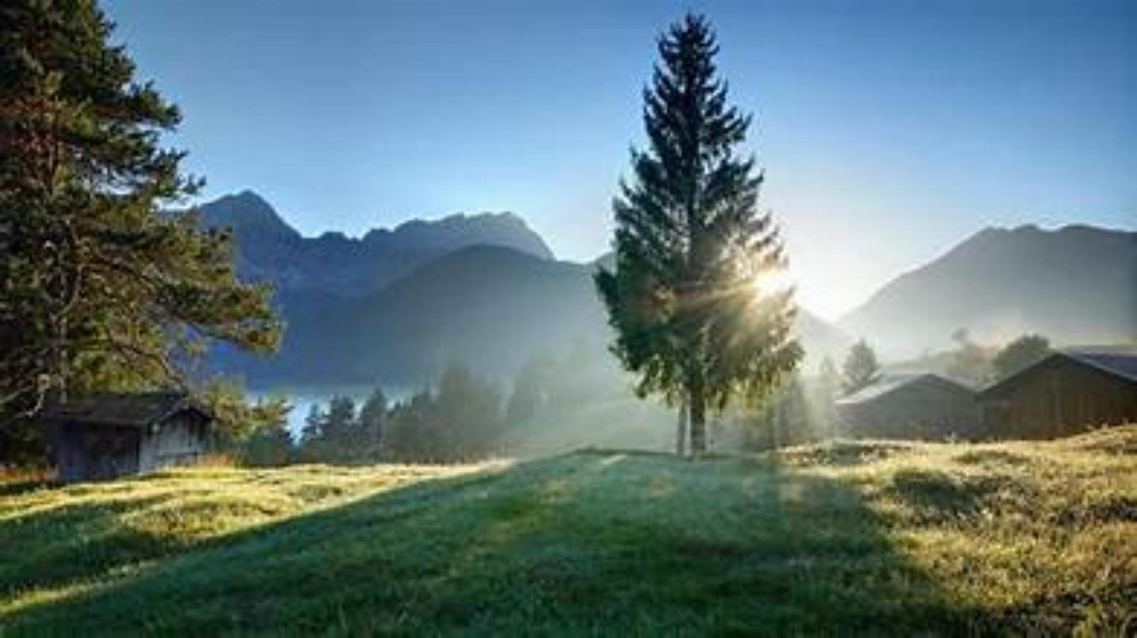 Shop cover image