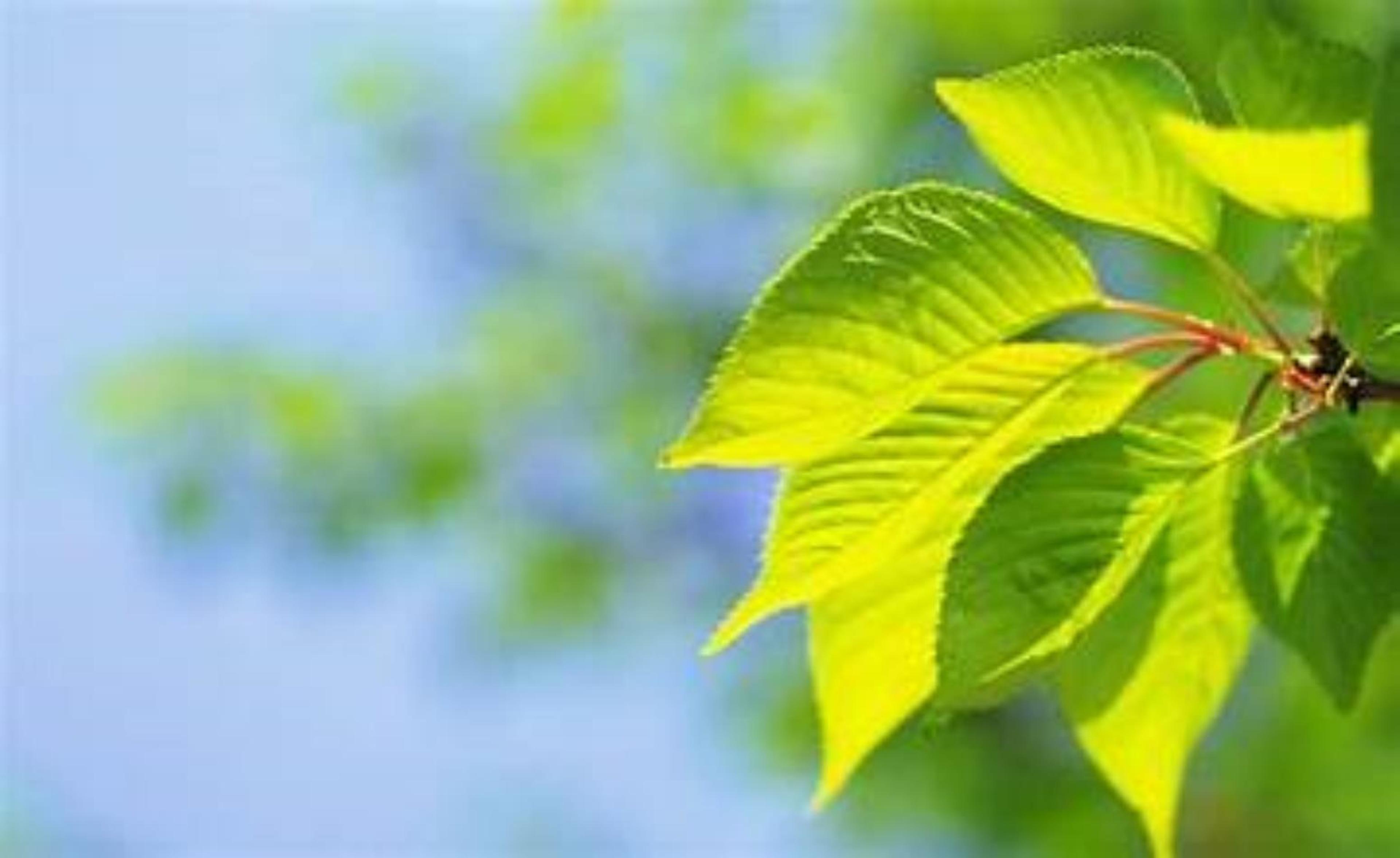 Shop cover image