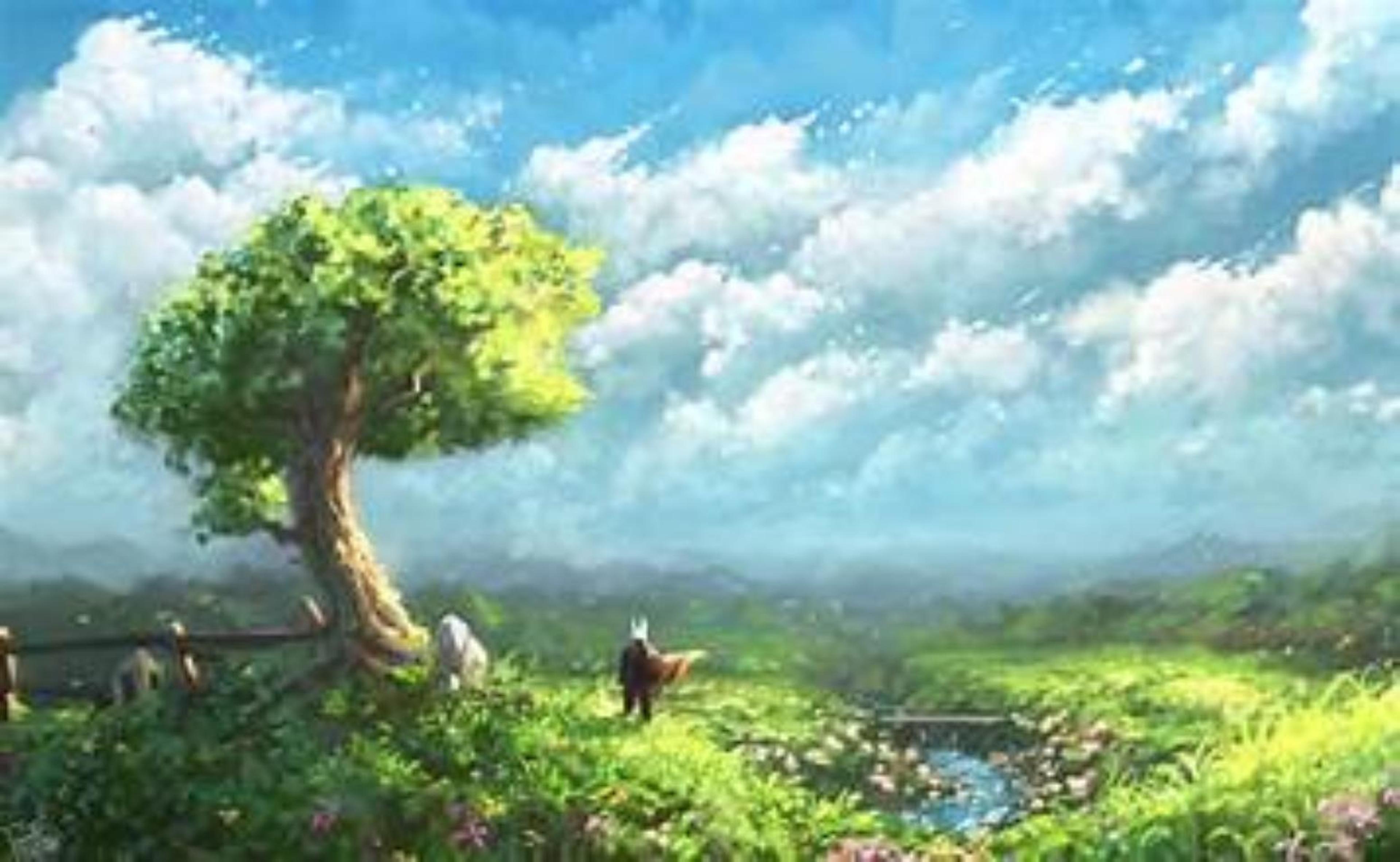 Shop cover image