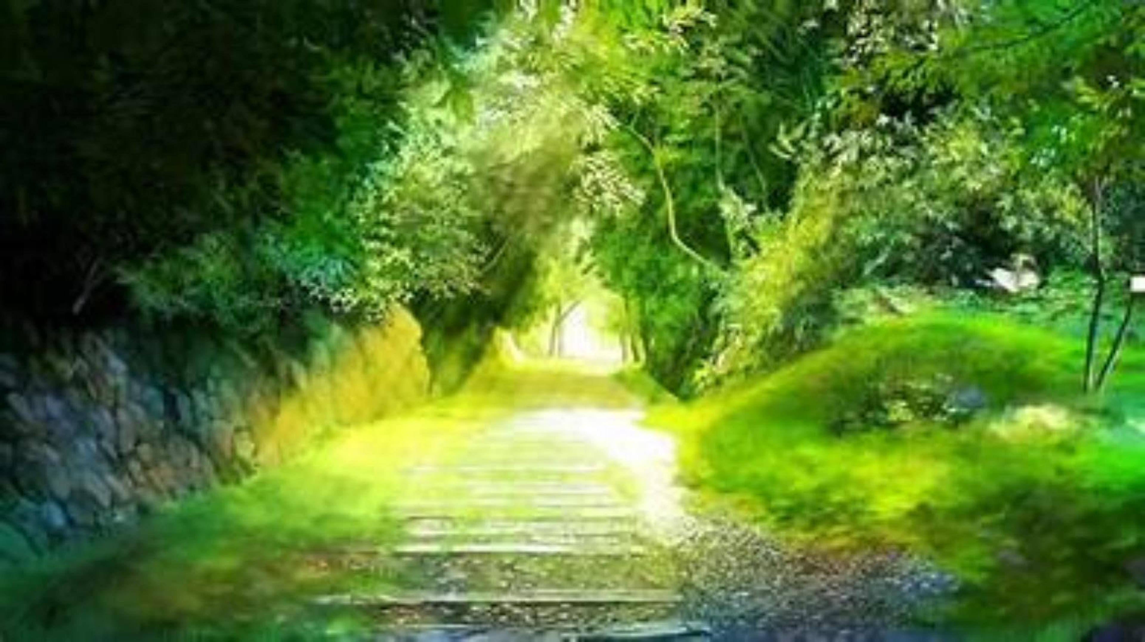 Shop cover image