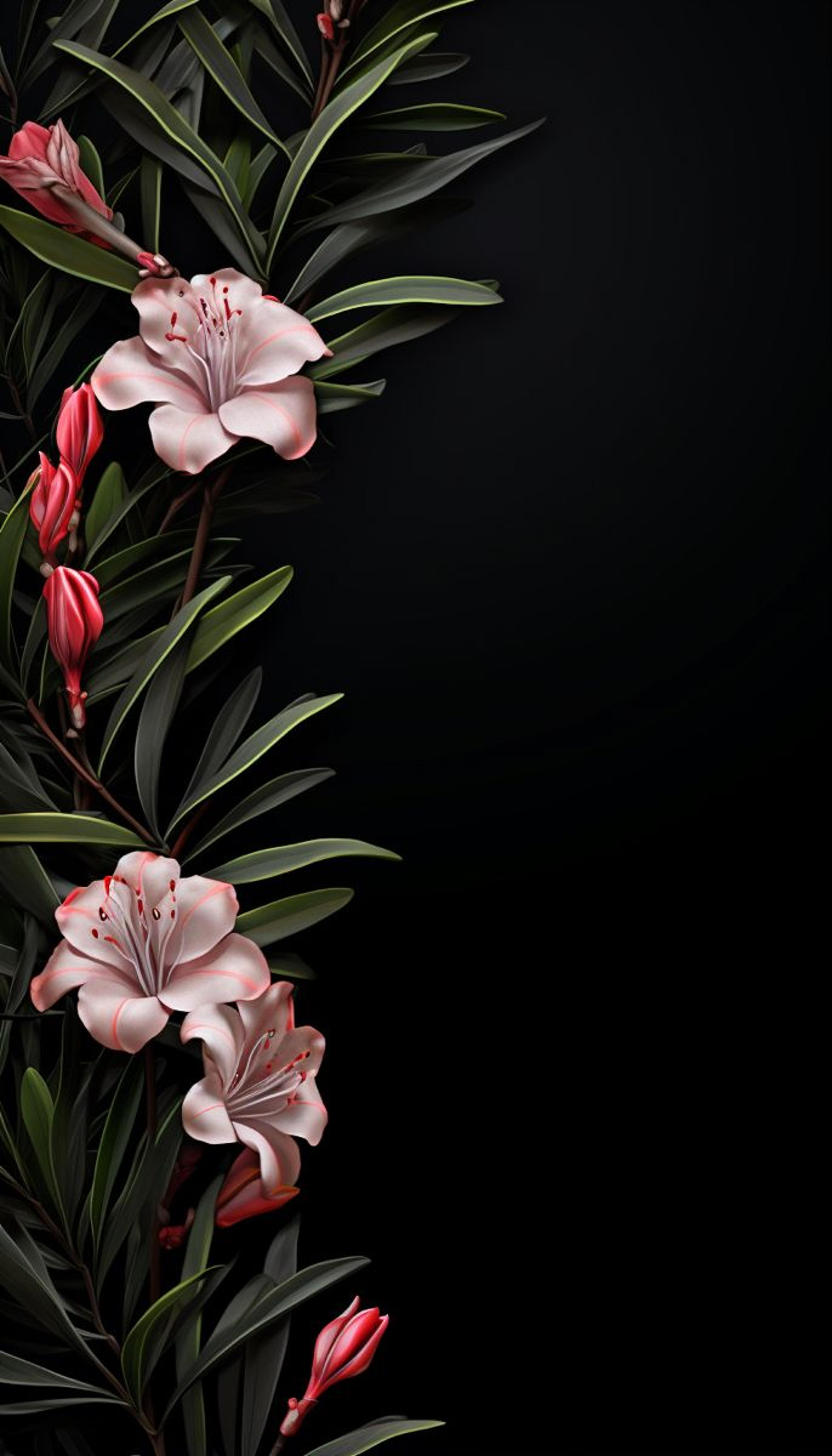 Shop cover image