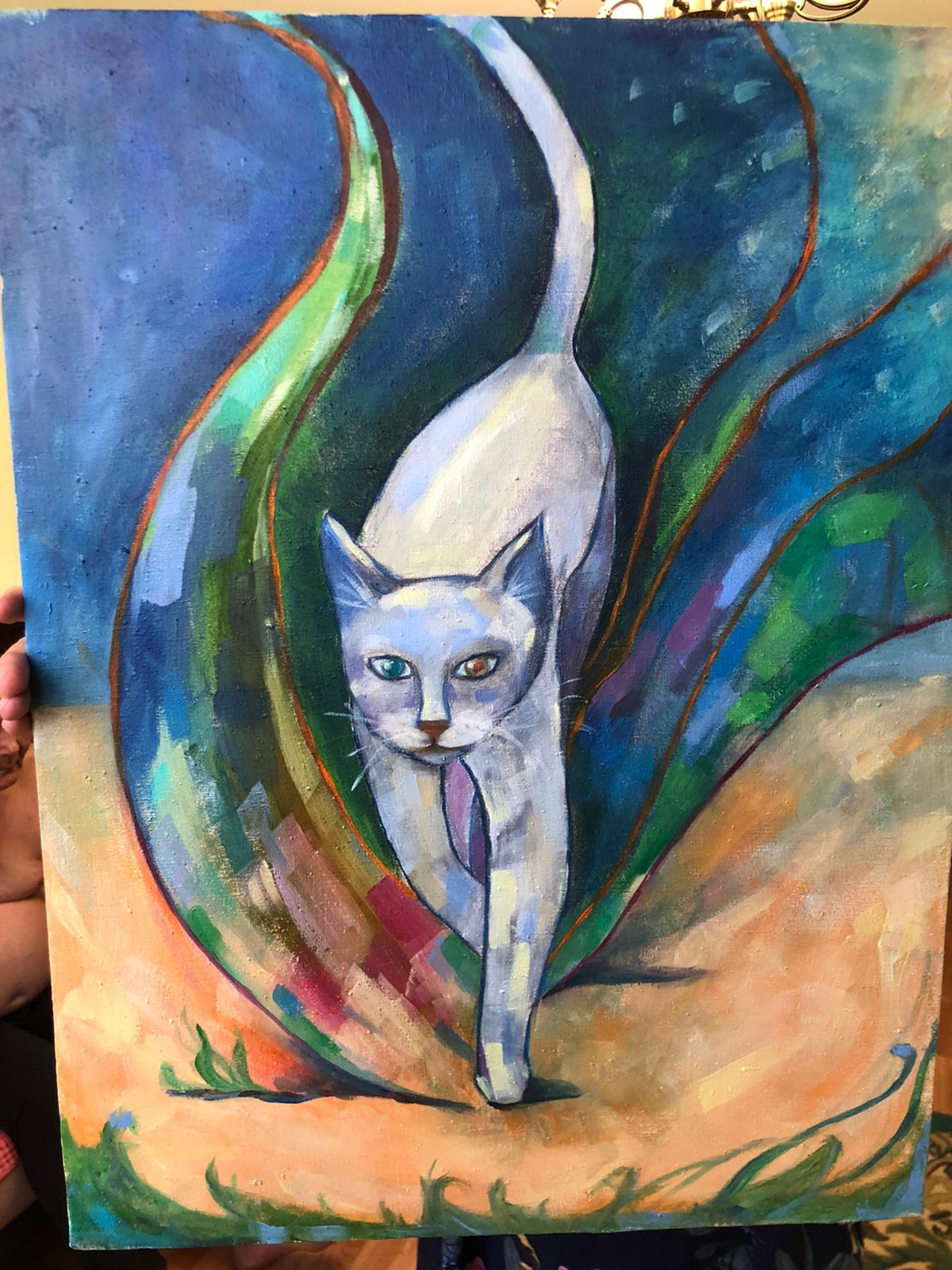 Shop cover image