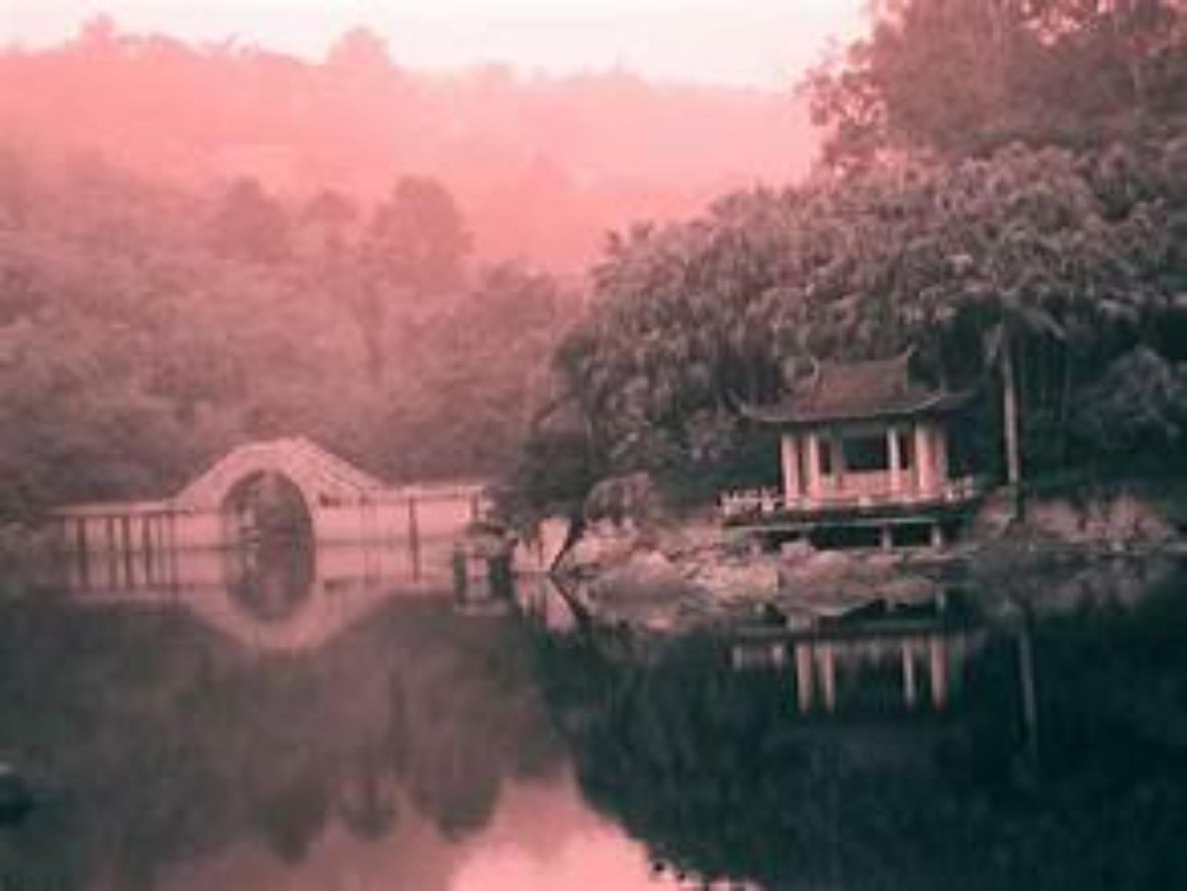Shop cover image