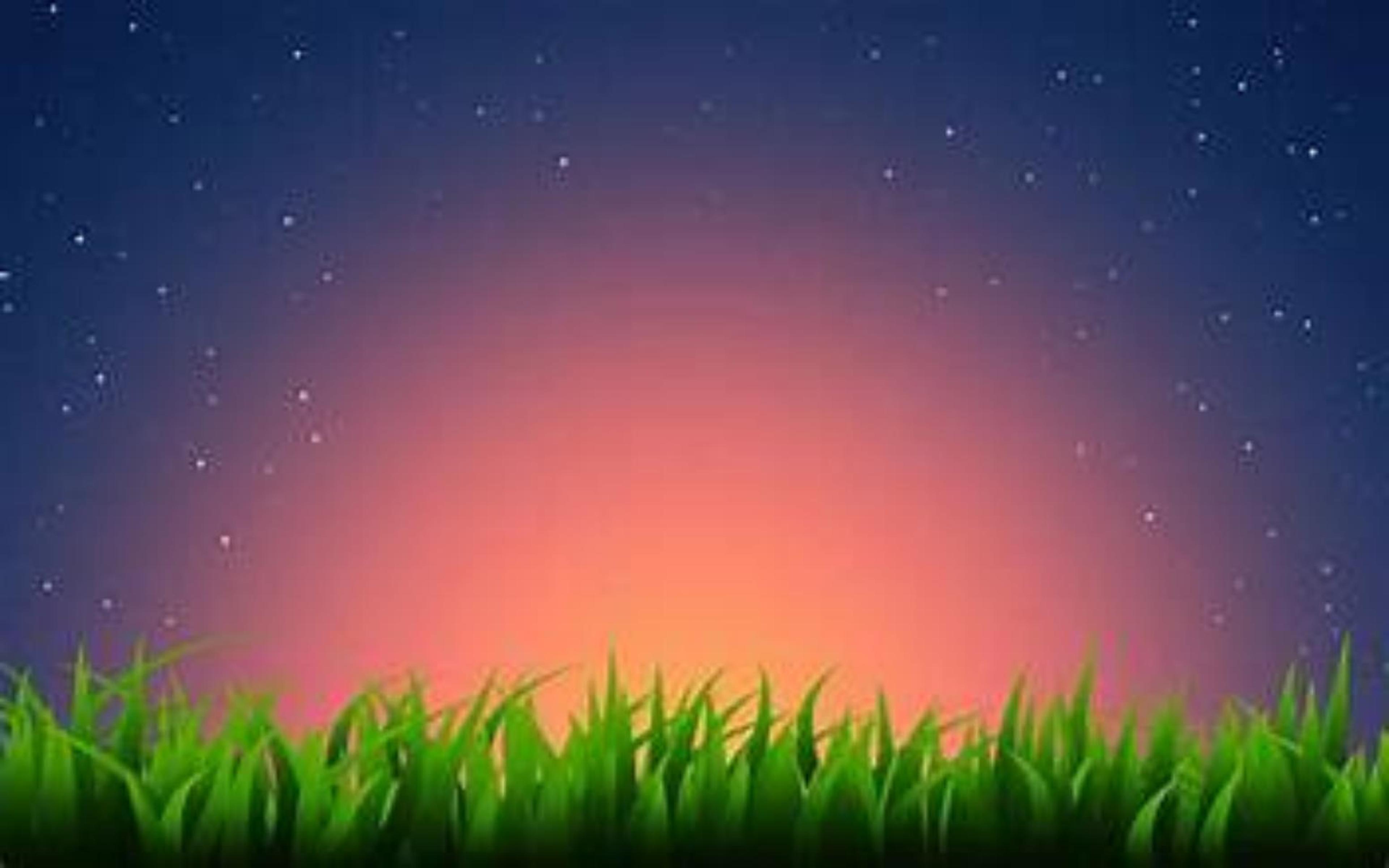 Shop cover image