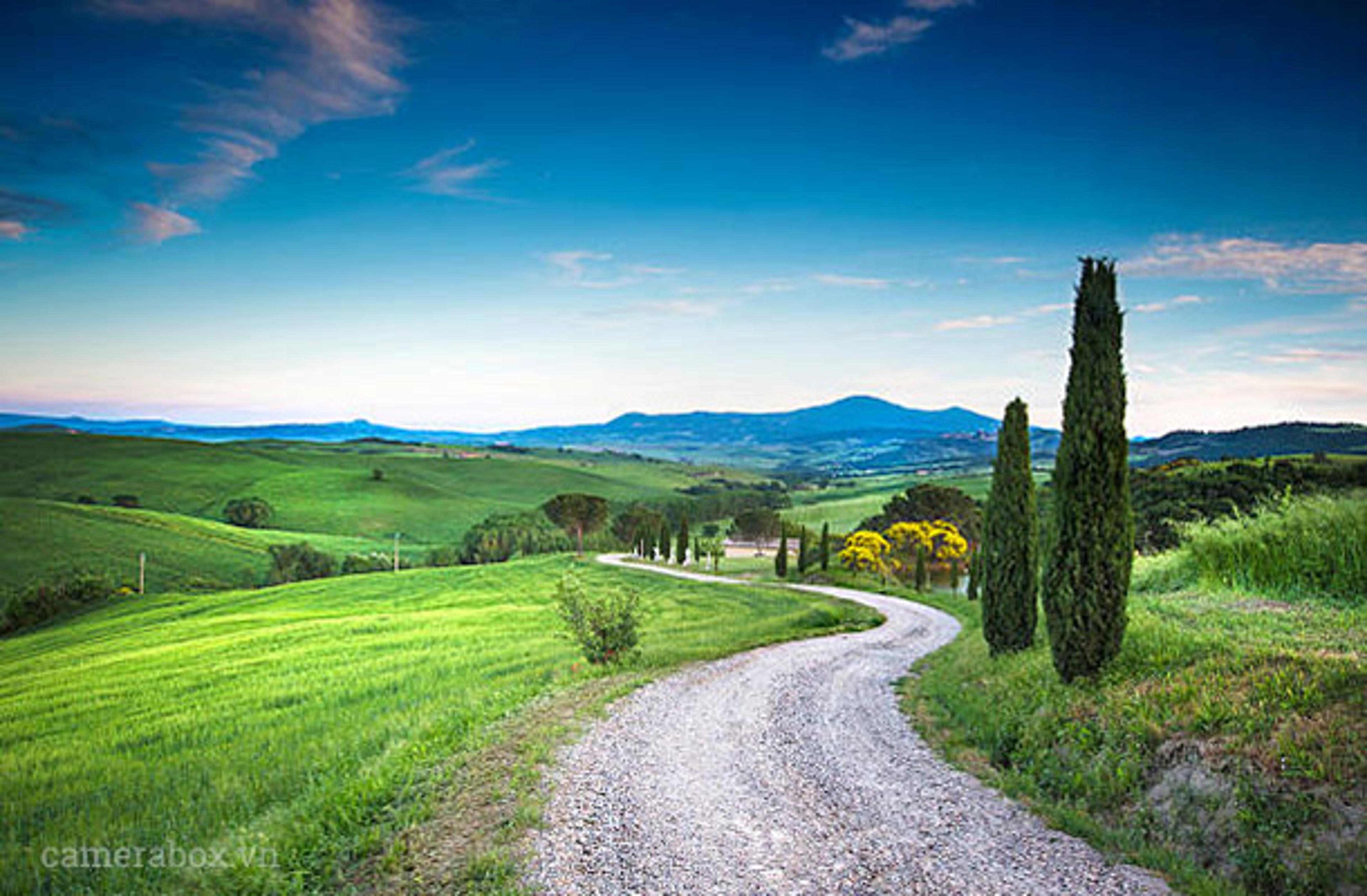 Shop cover image