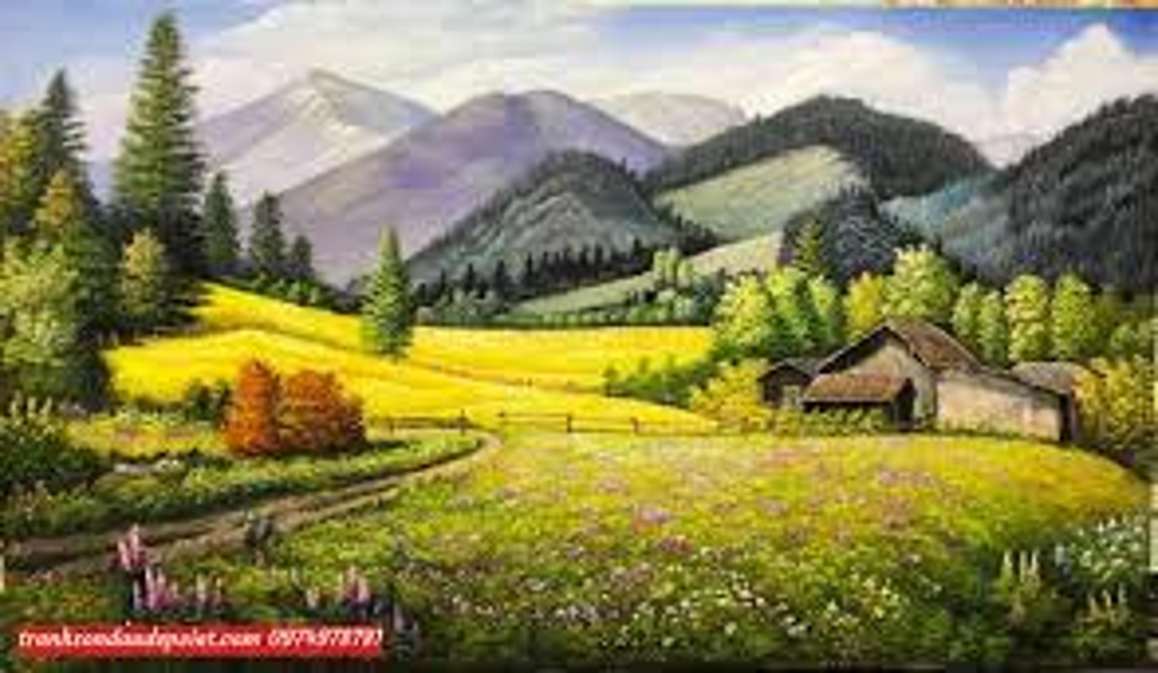 Shop cover image