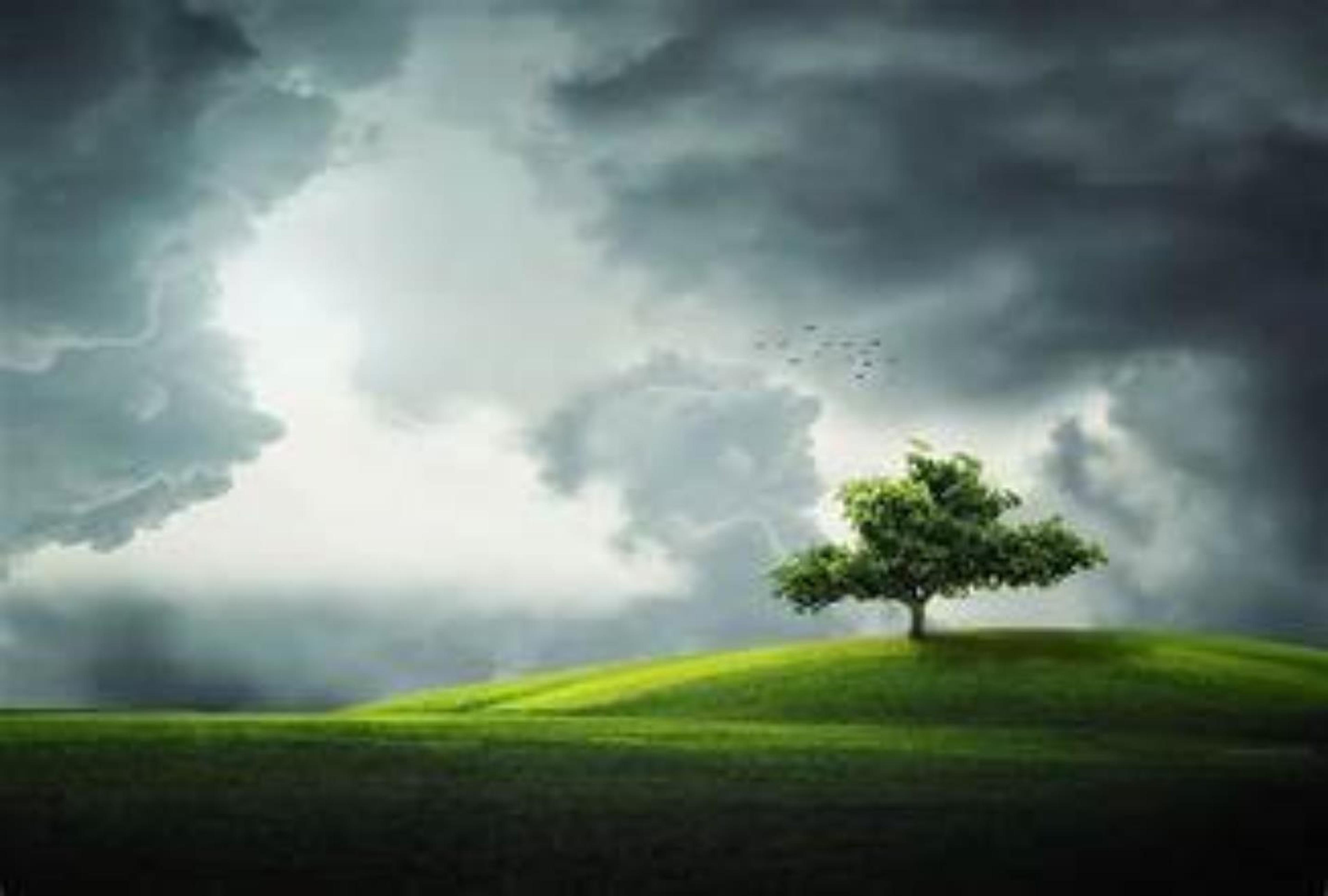 Shop cover image