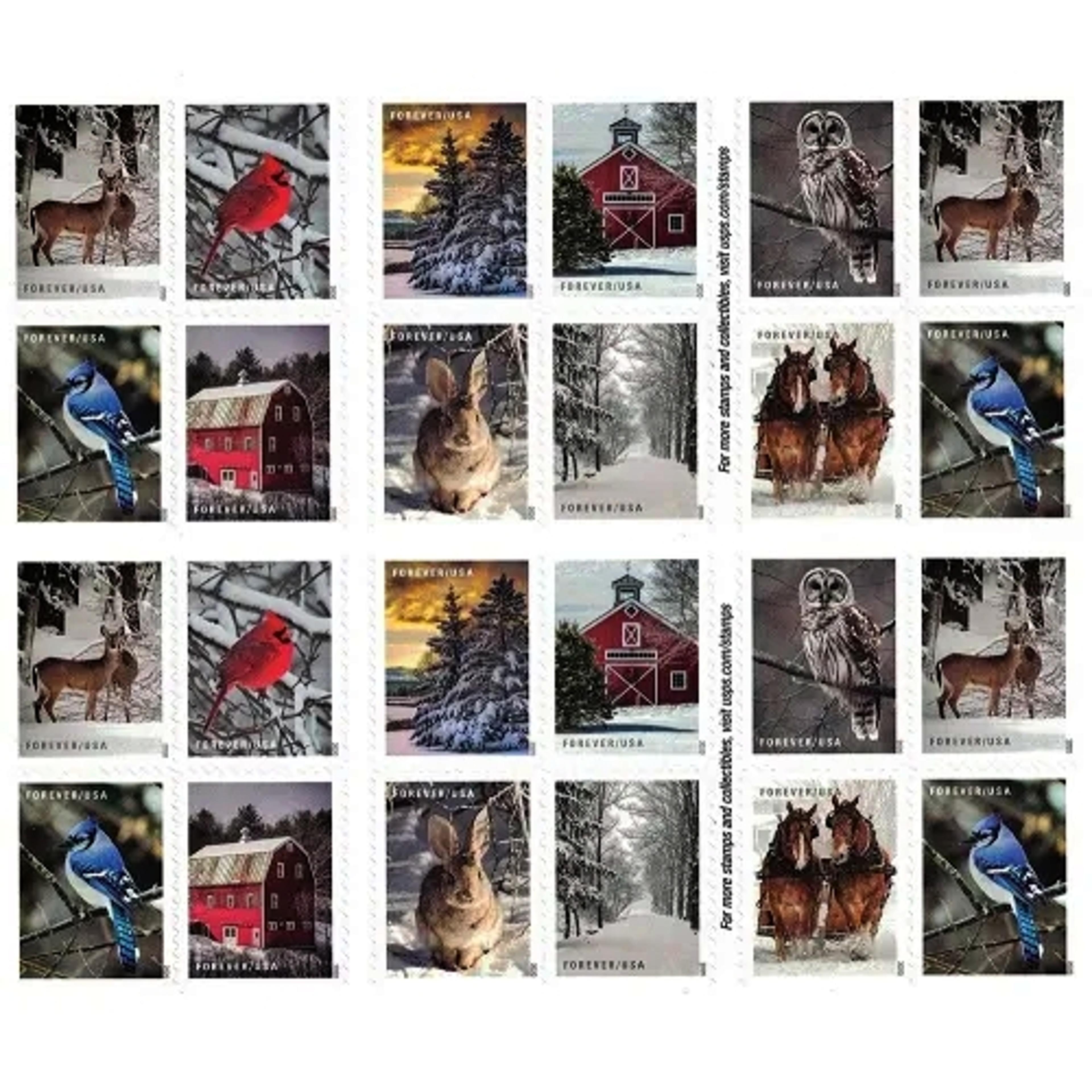 Shop cover image