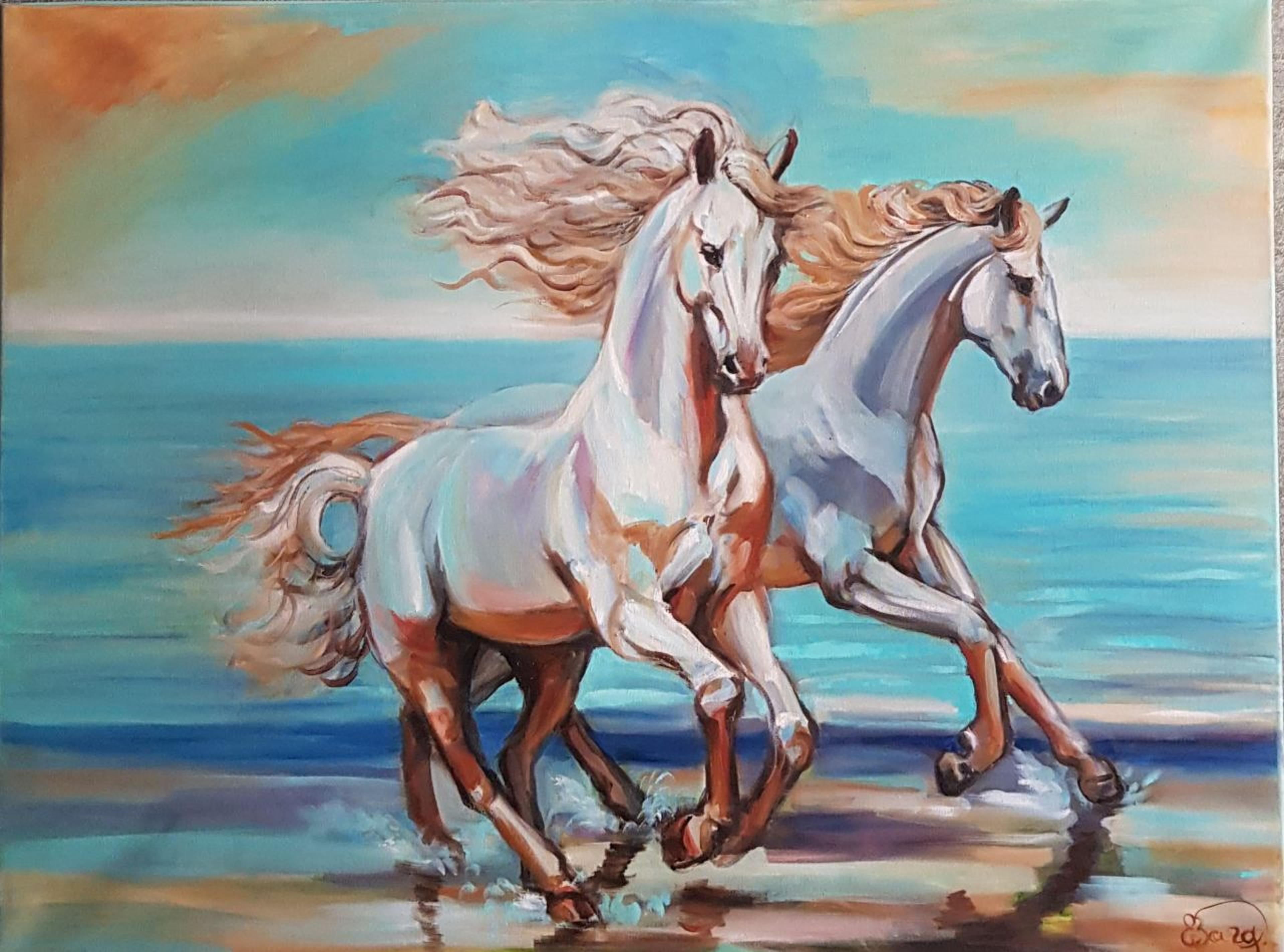 Shop cover image