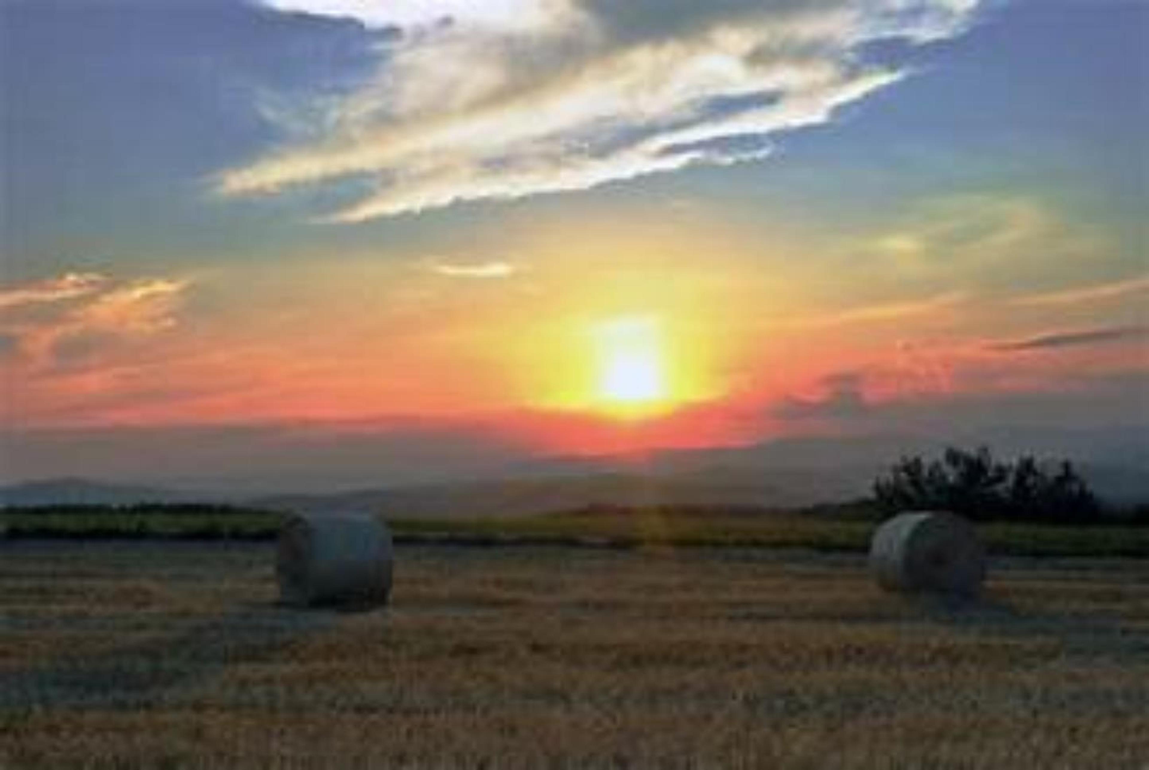 Shop cover image
