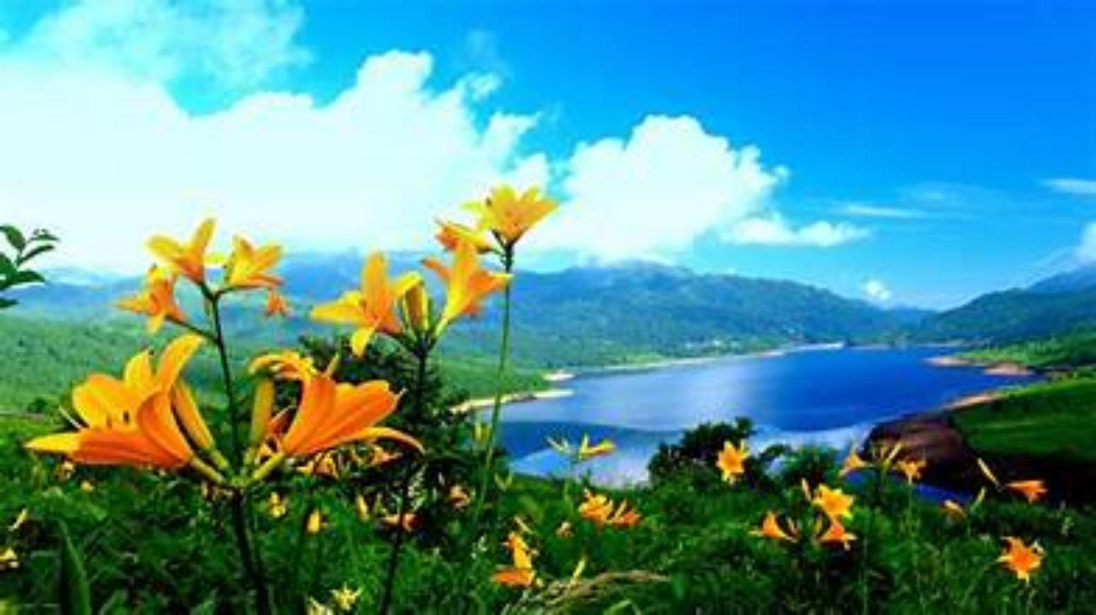 Shop cover image
