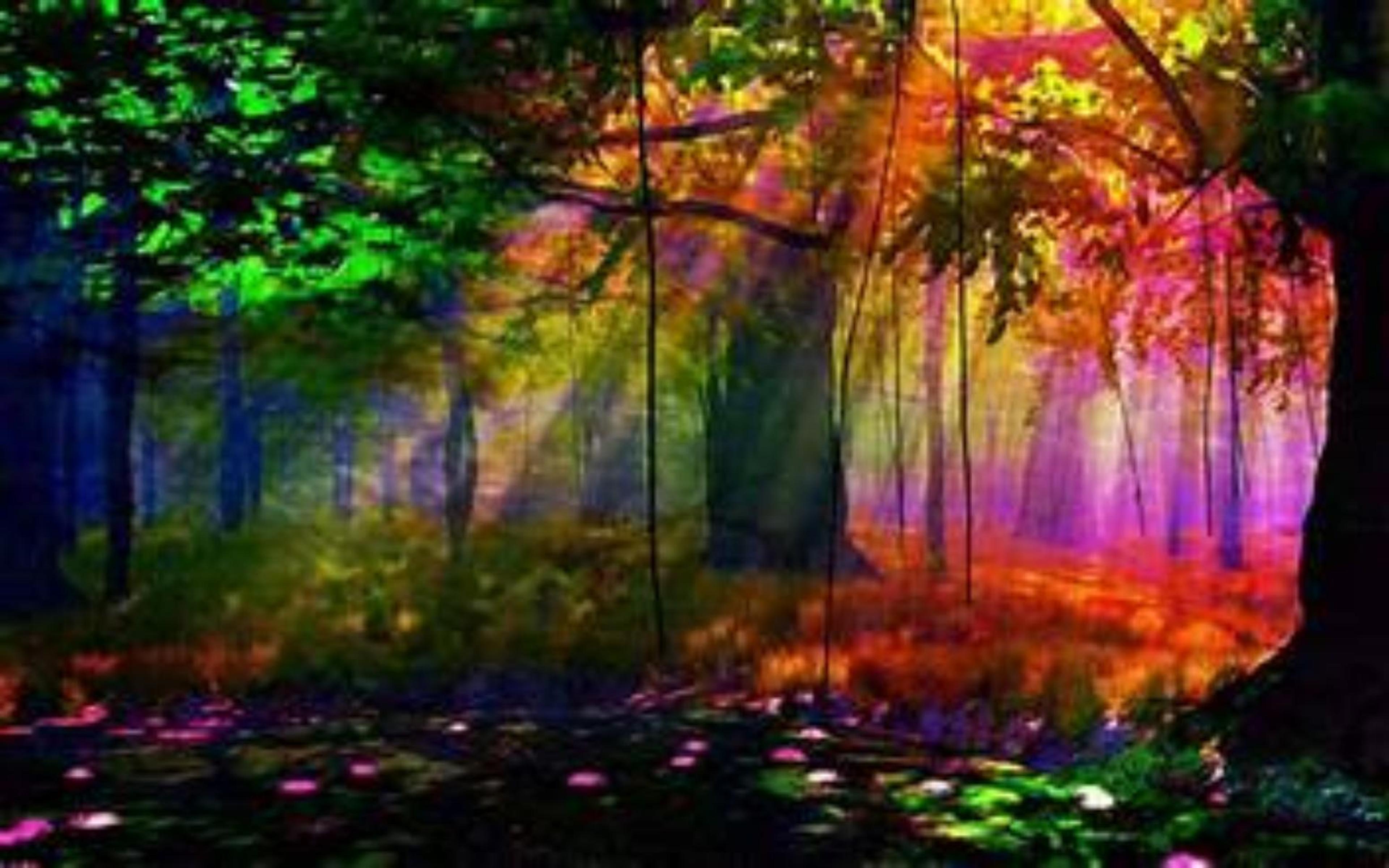 Shop cover image