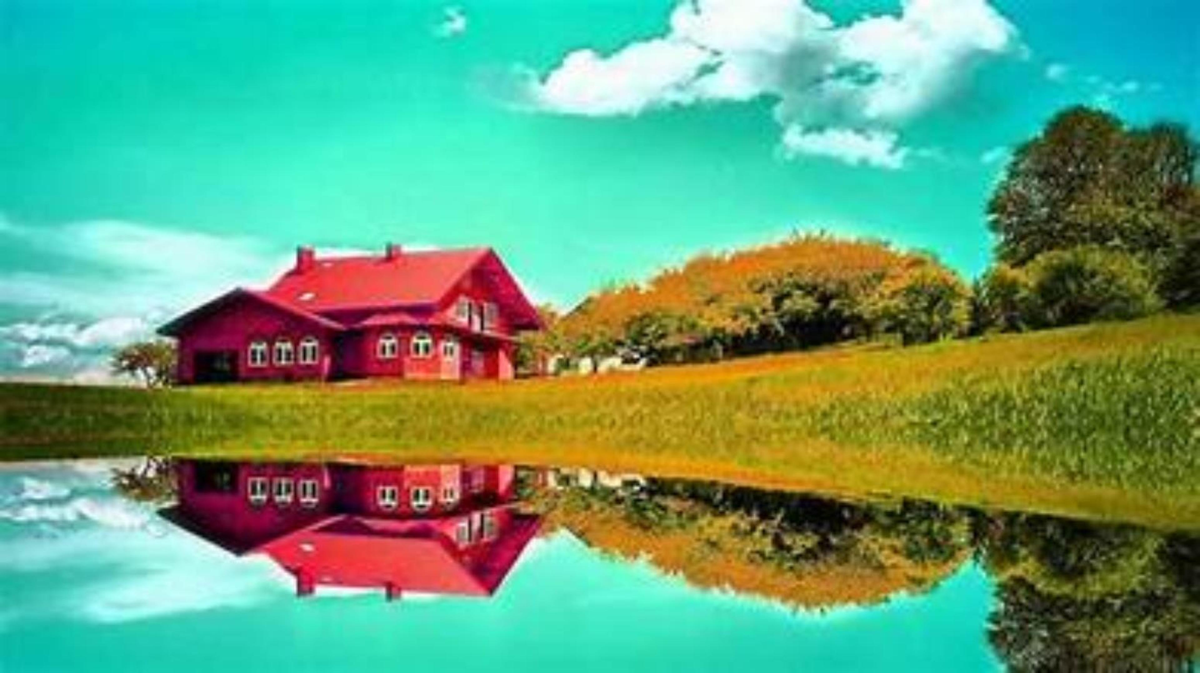 Shop cover image