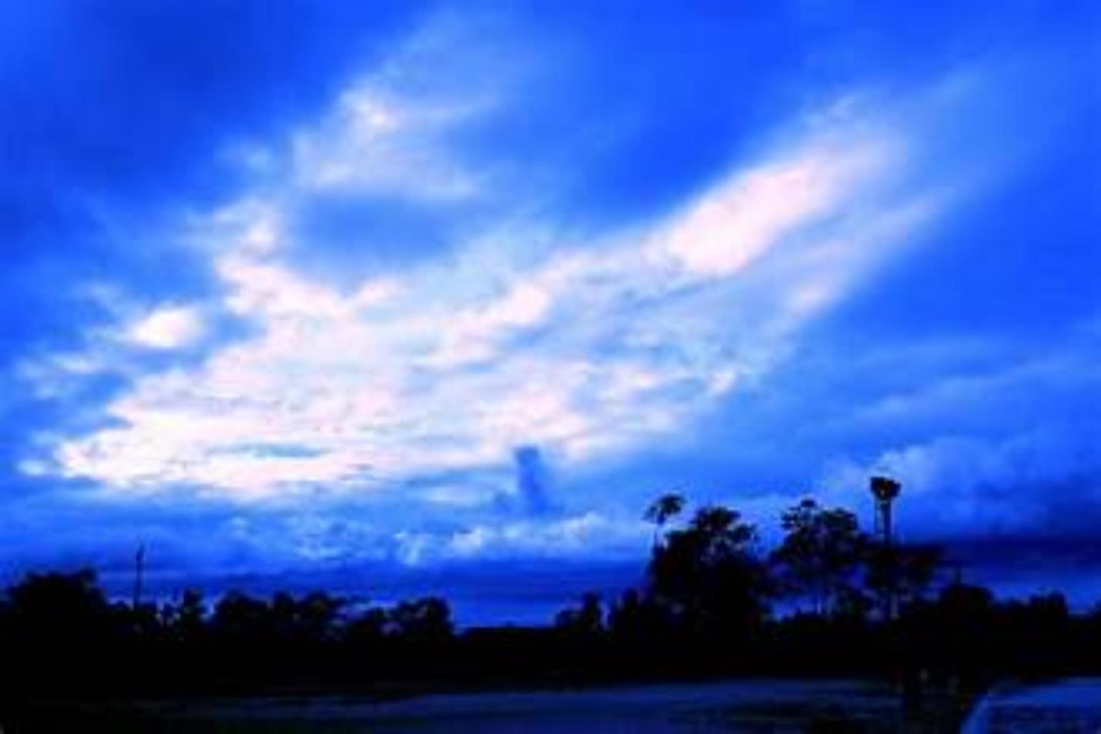 Shop cover image