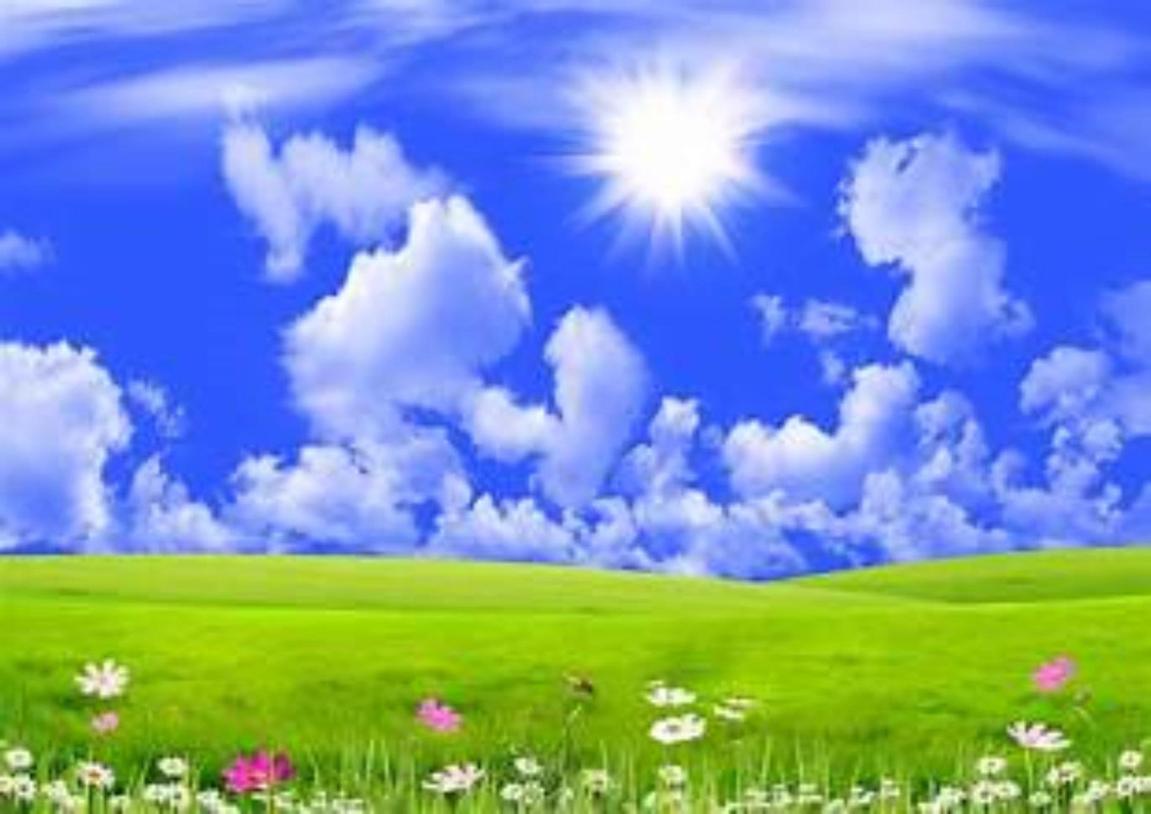 Shop cover image