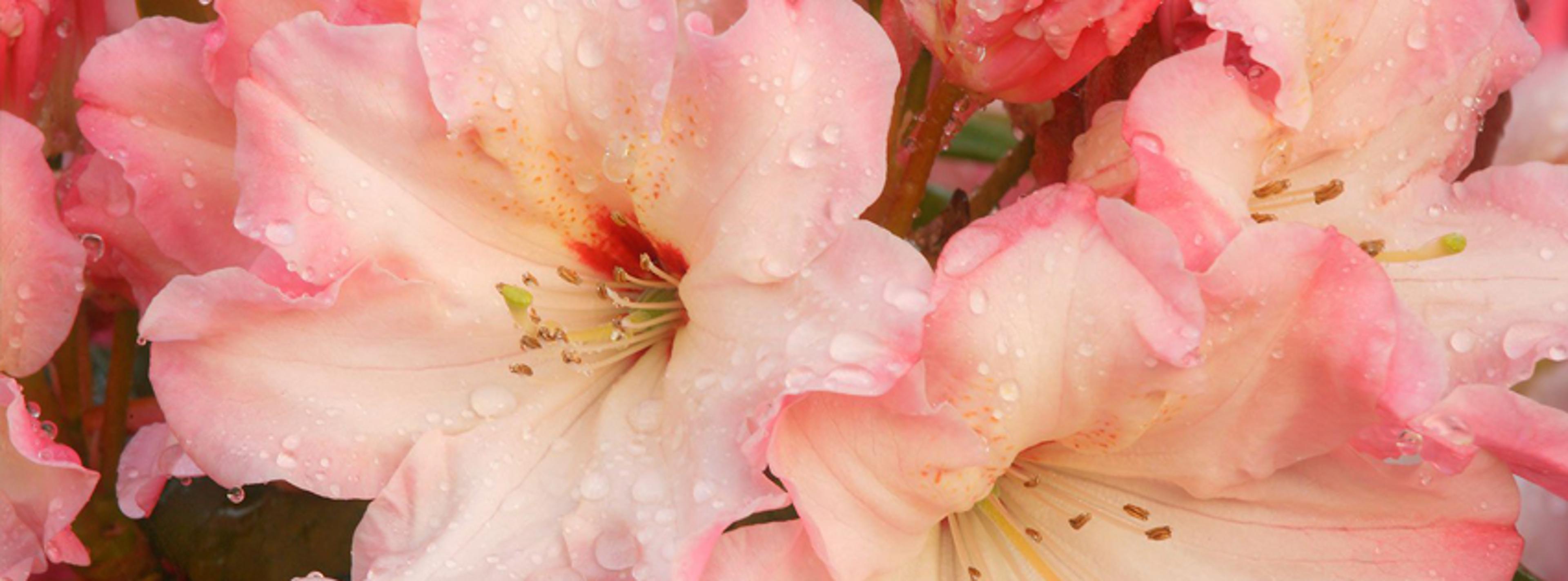 Shop cover image