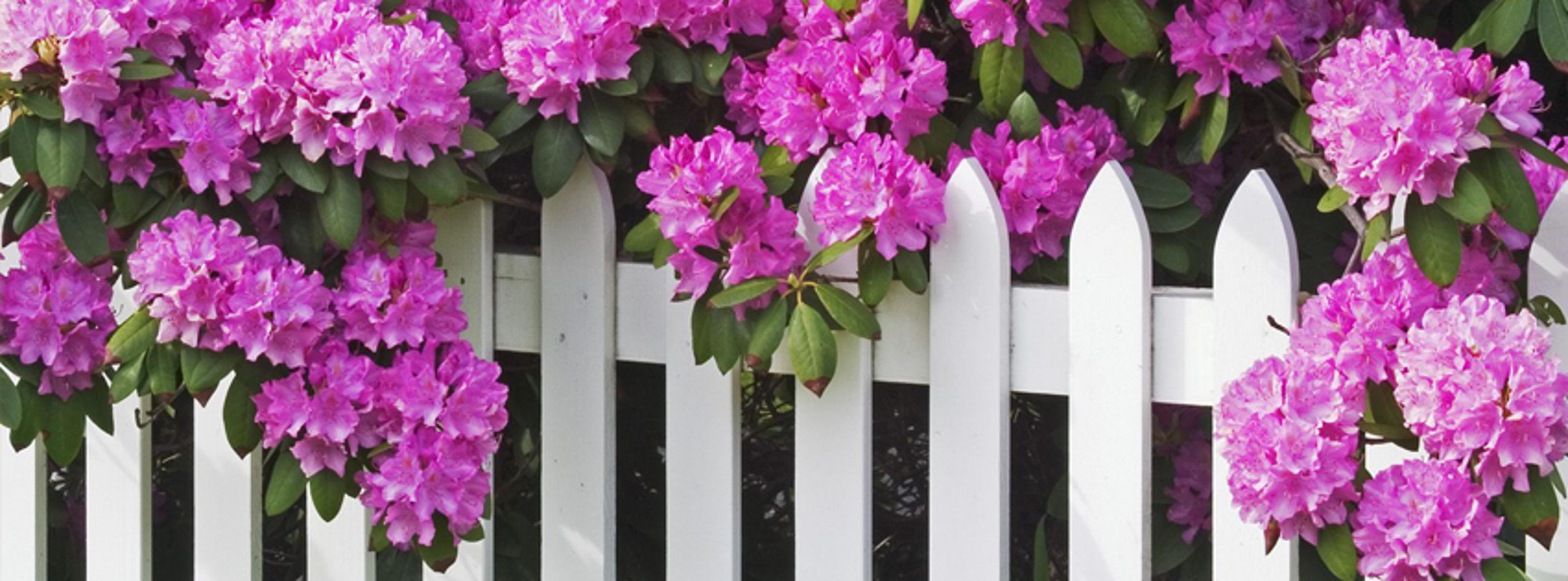 Shop cover image