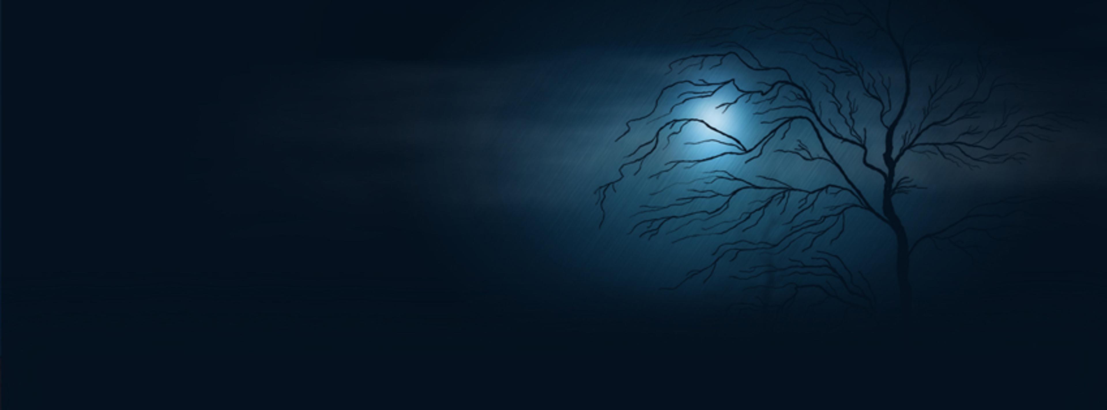 Shop cover image