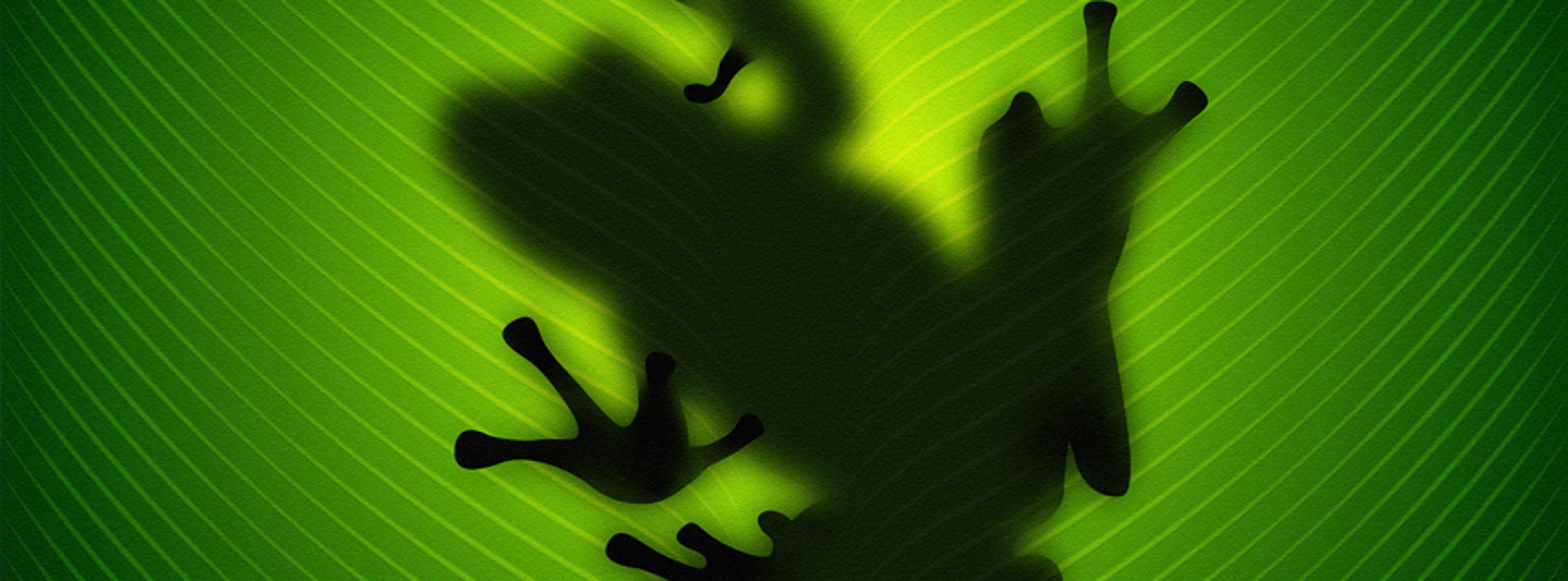 Shop cover image