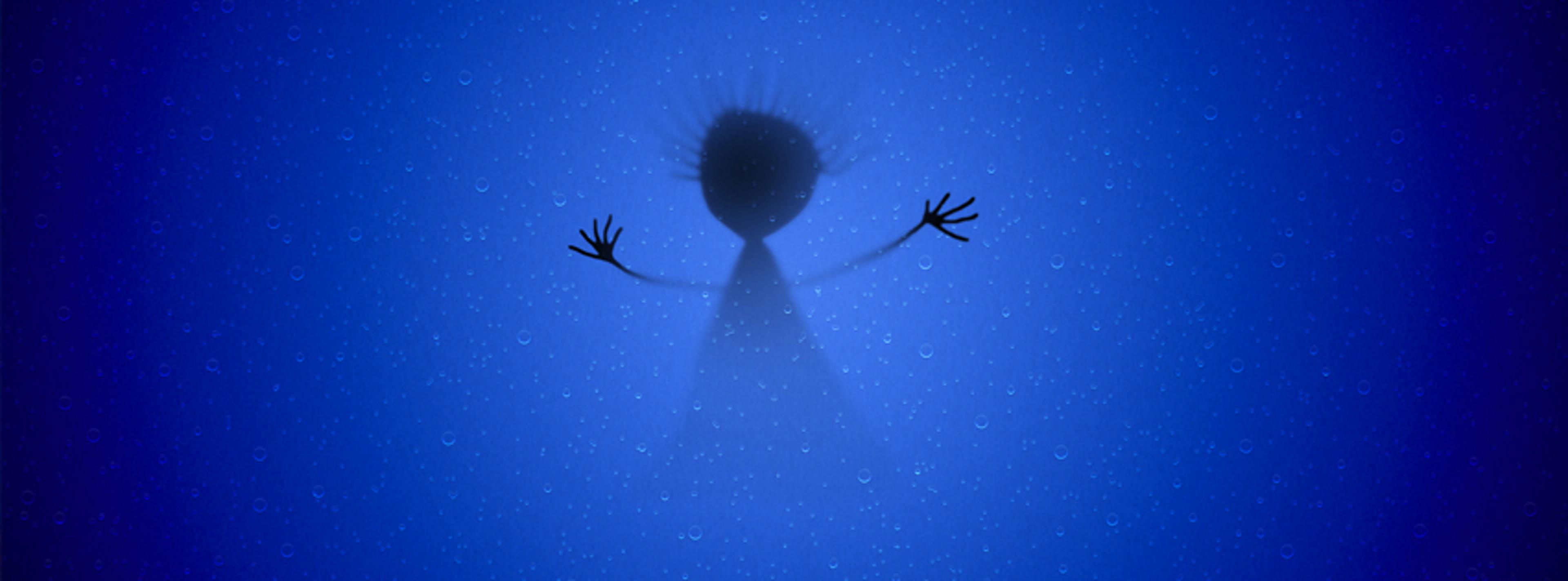 Shop cover image
