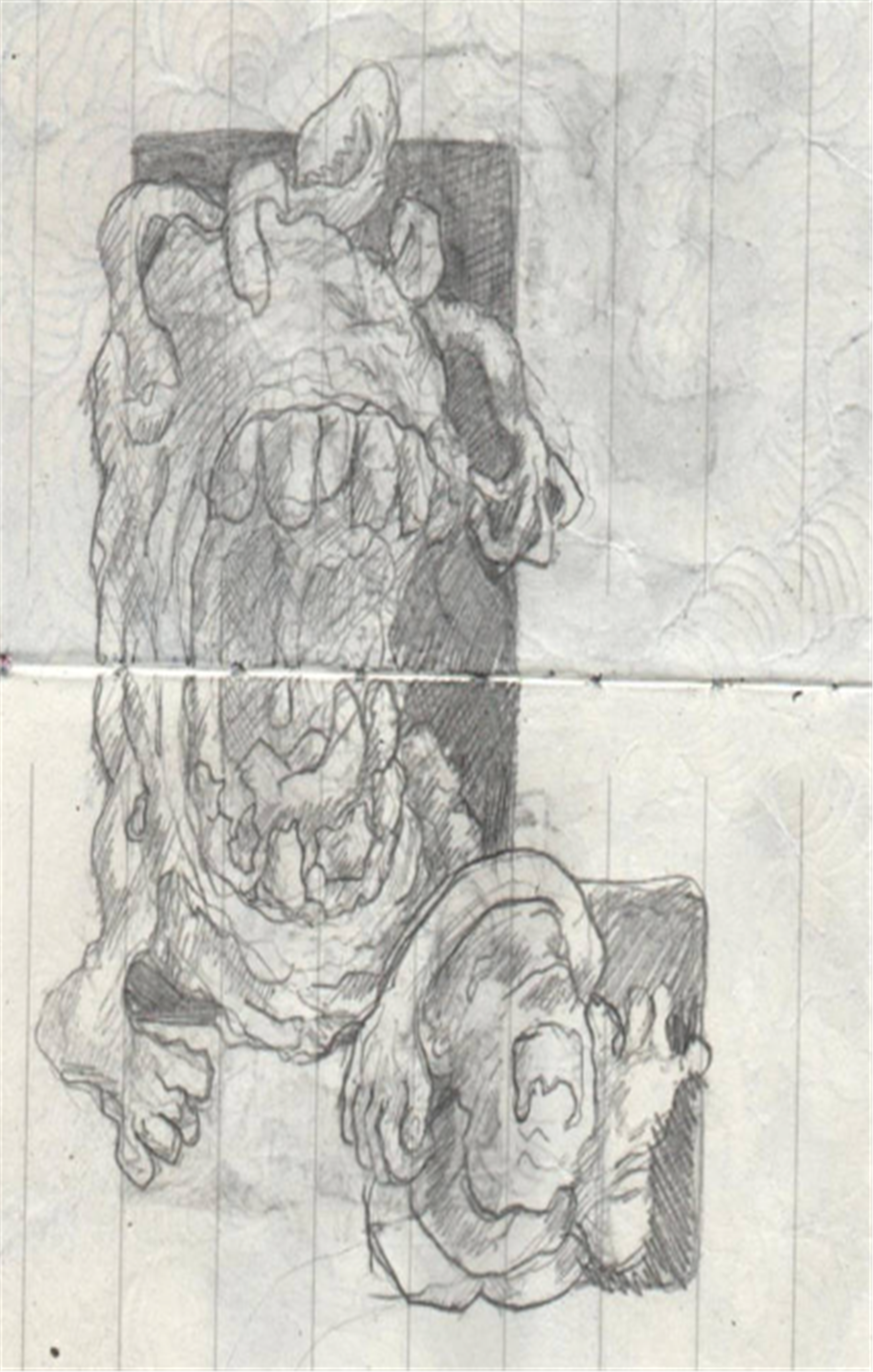 Shop cover image
