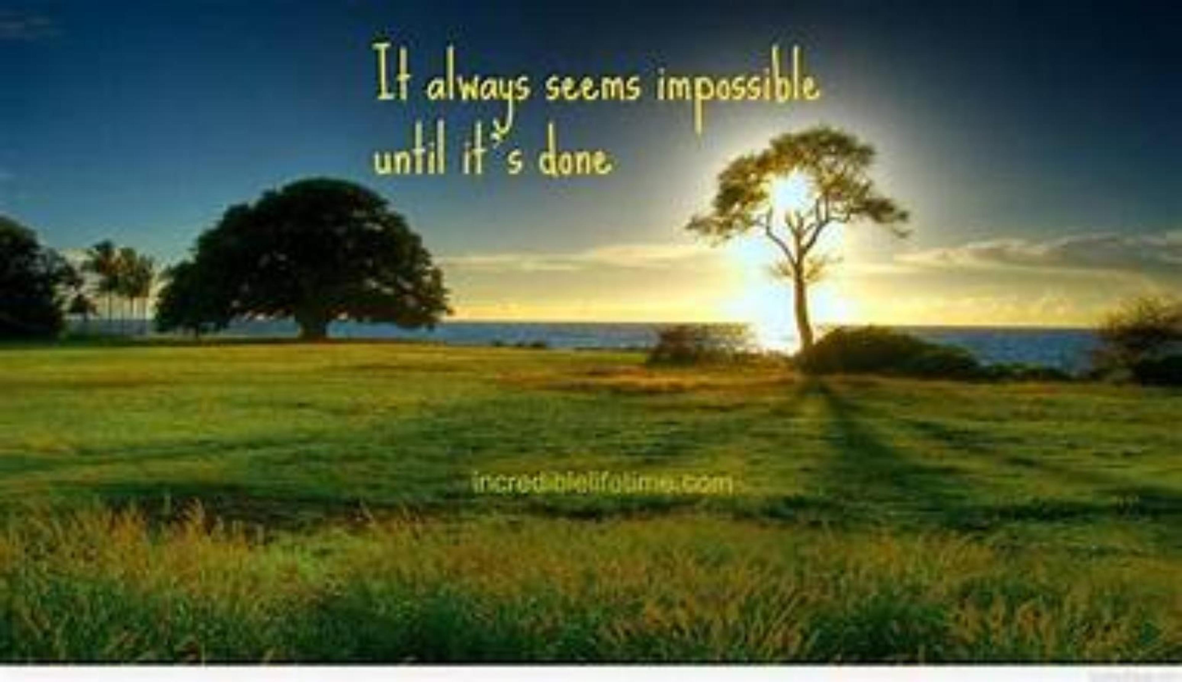 Shop cover image
